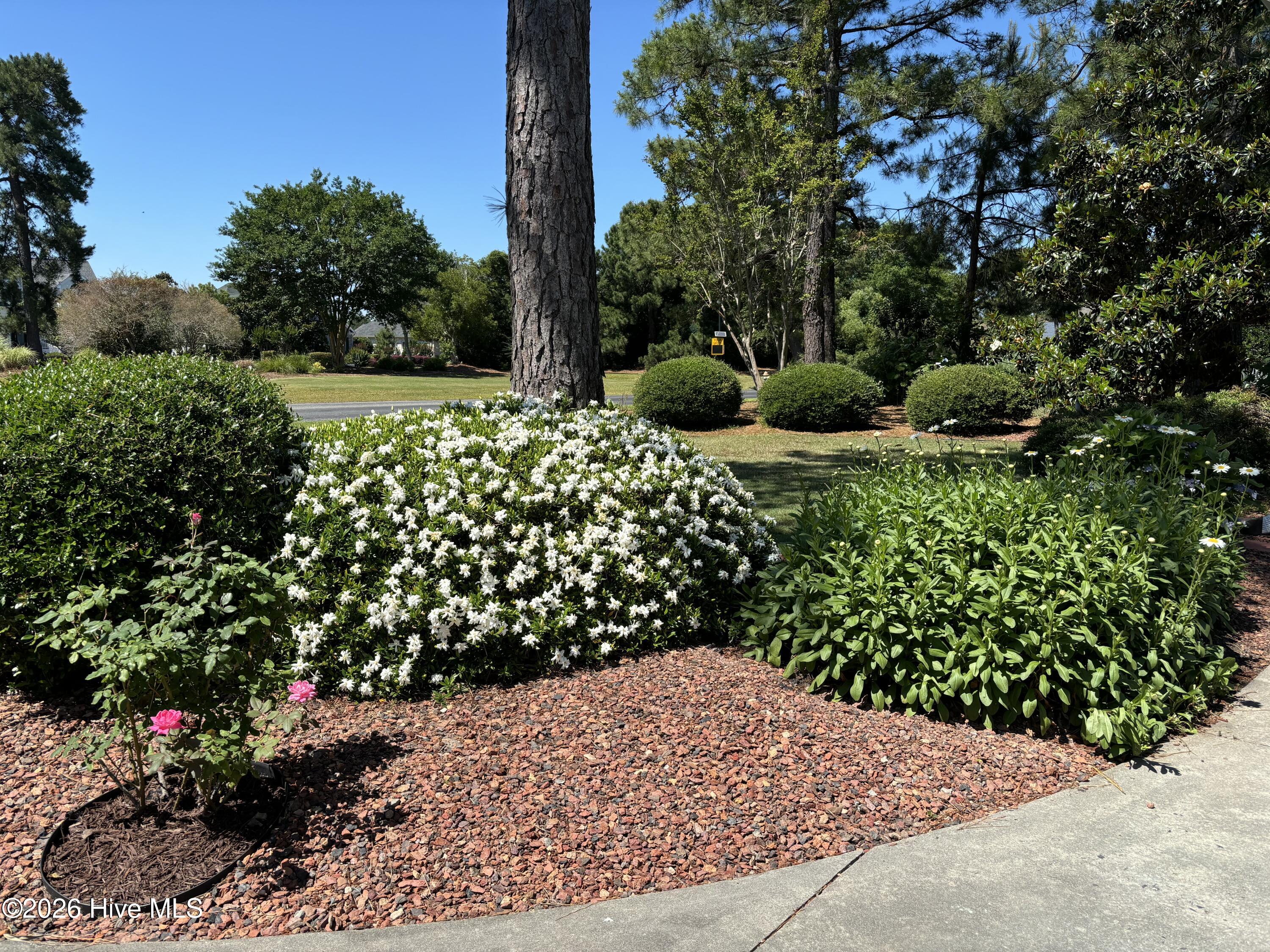 100553466 | Photo 55