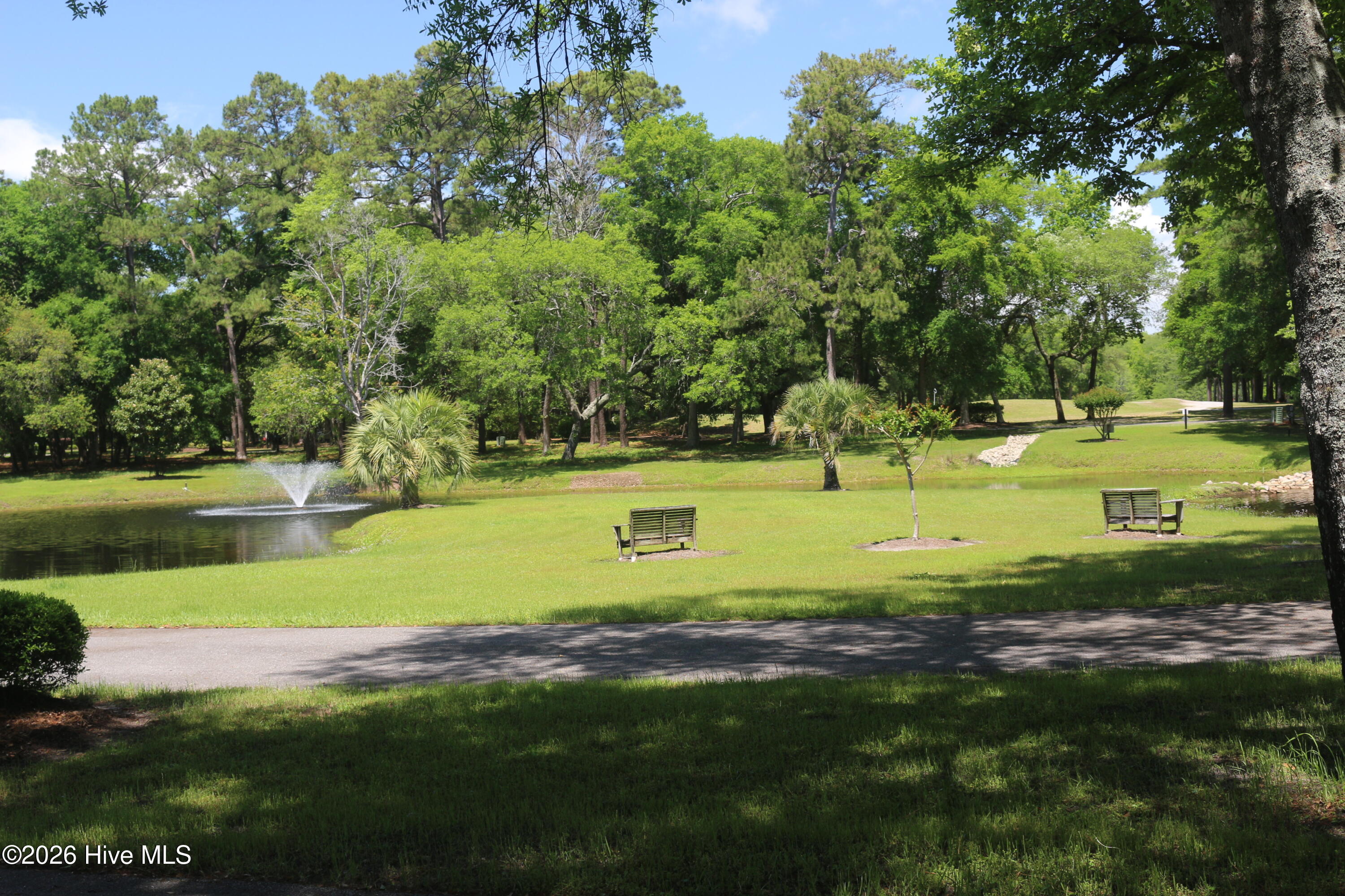 100566261 | Photo 11