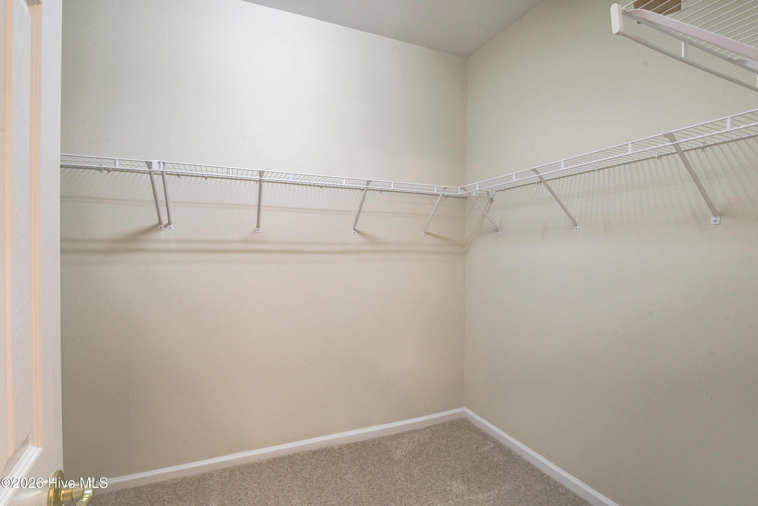 100554732 | Photo 22