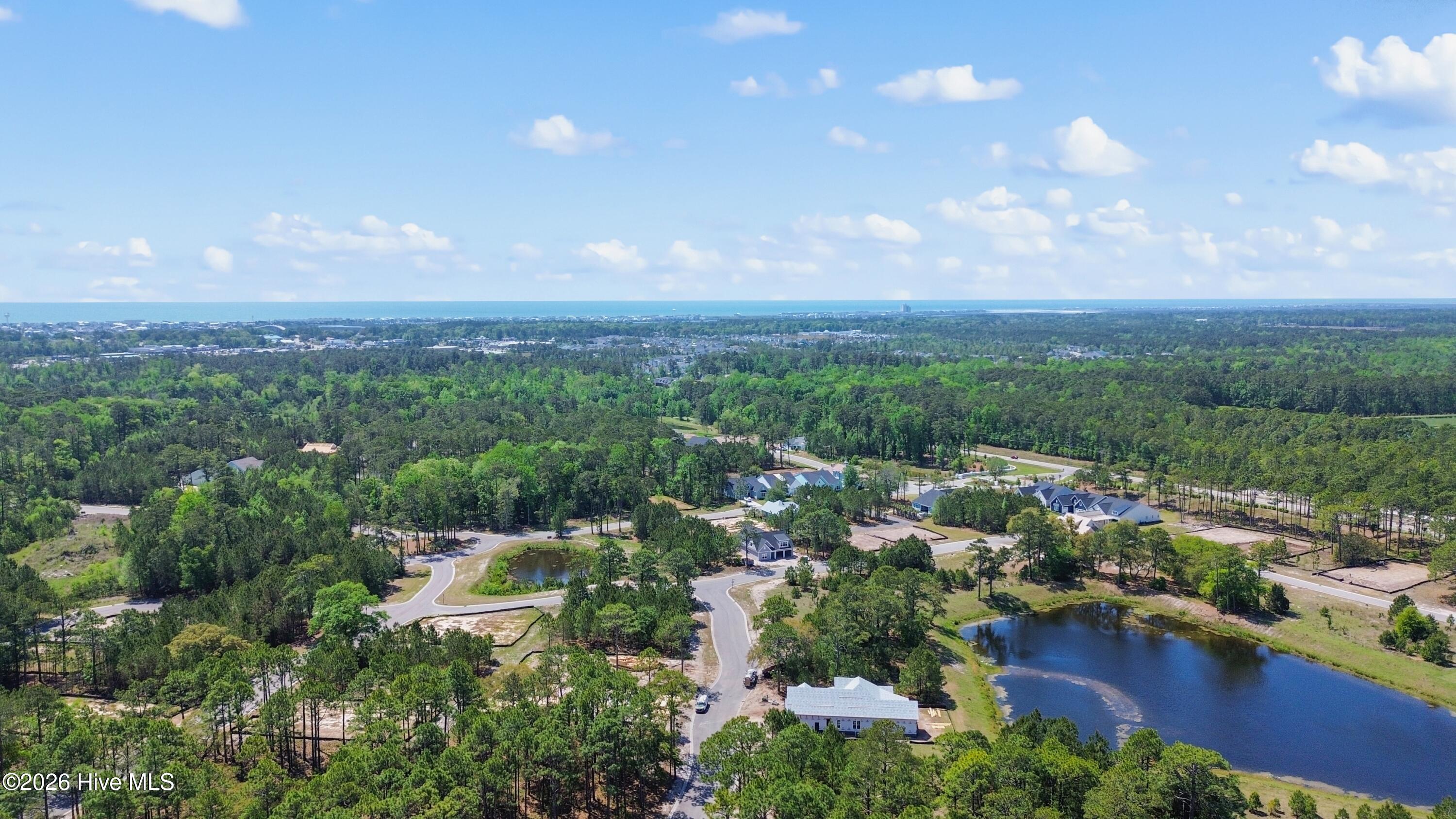 100555339 | Photo 43