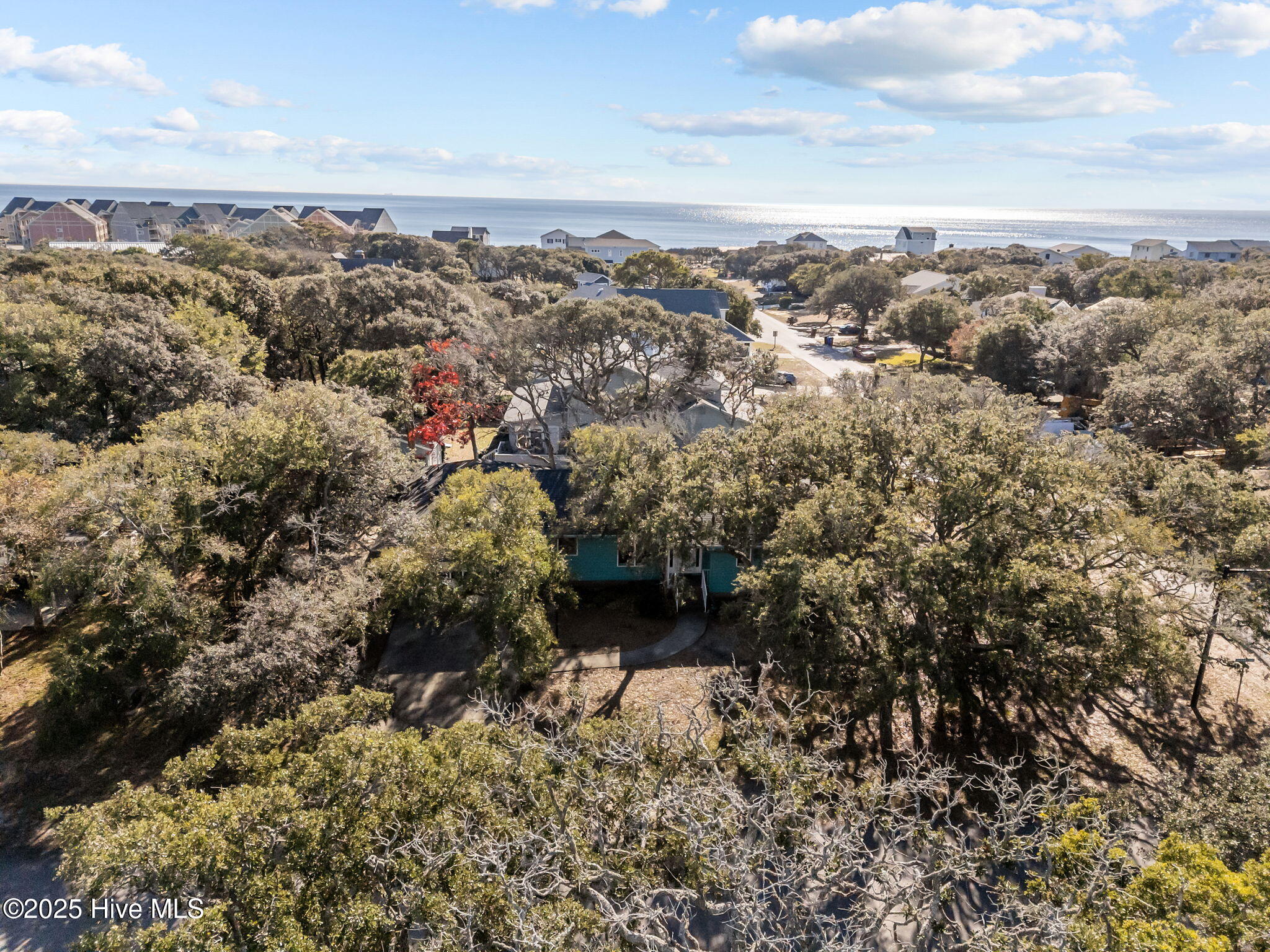 100522613 | Photo 55