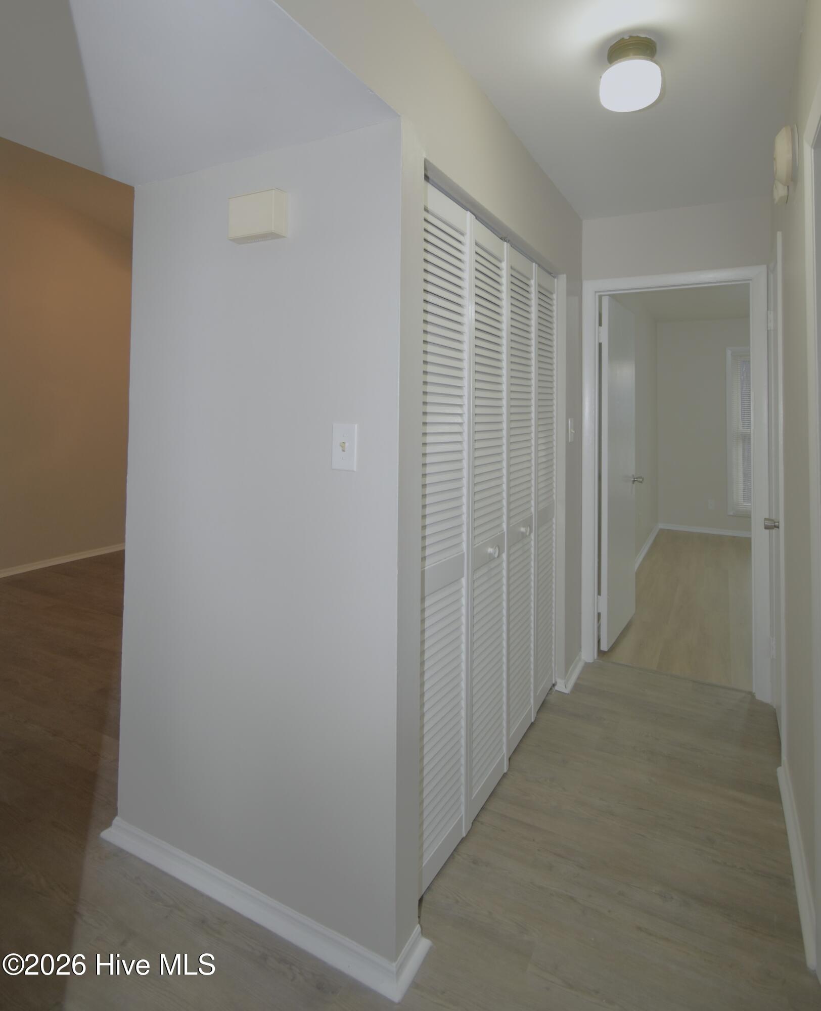 100556290 | Photo 10