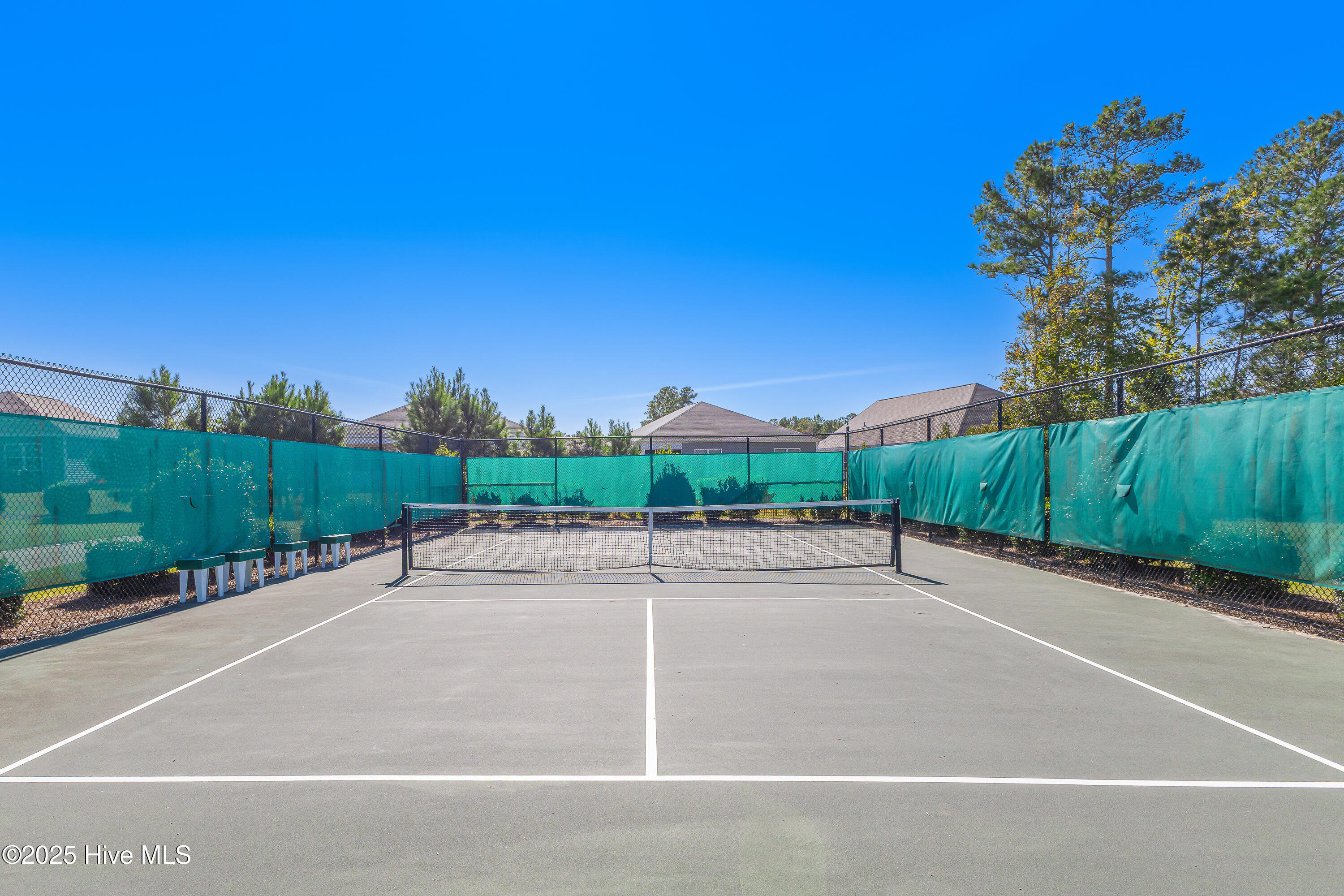 100538359 | Photo 38