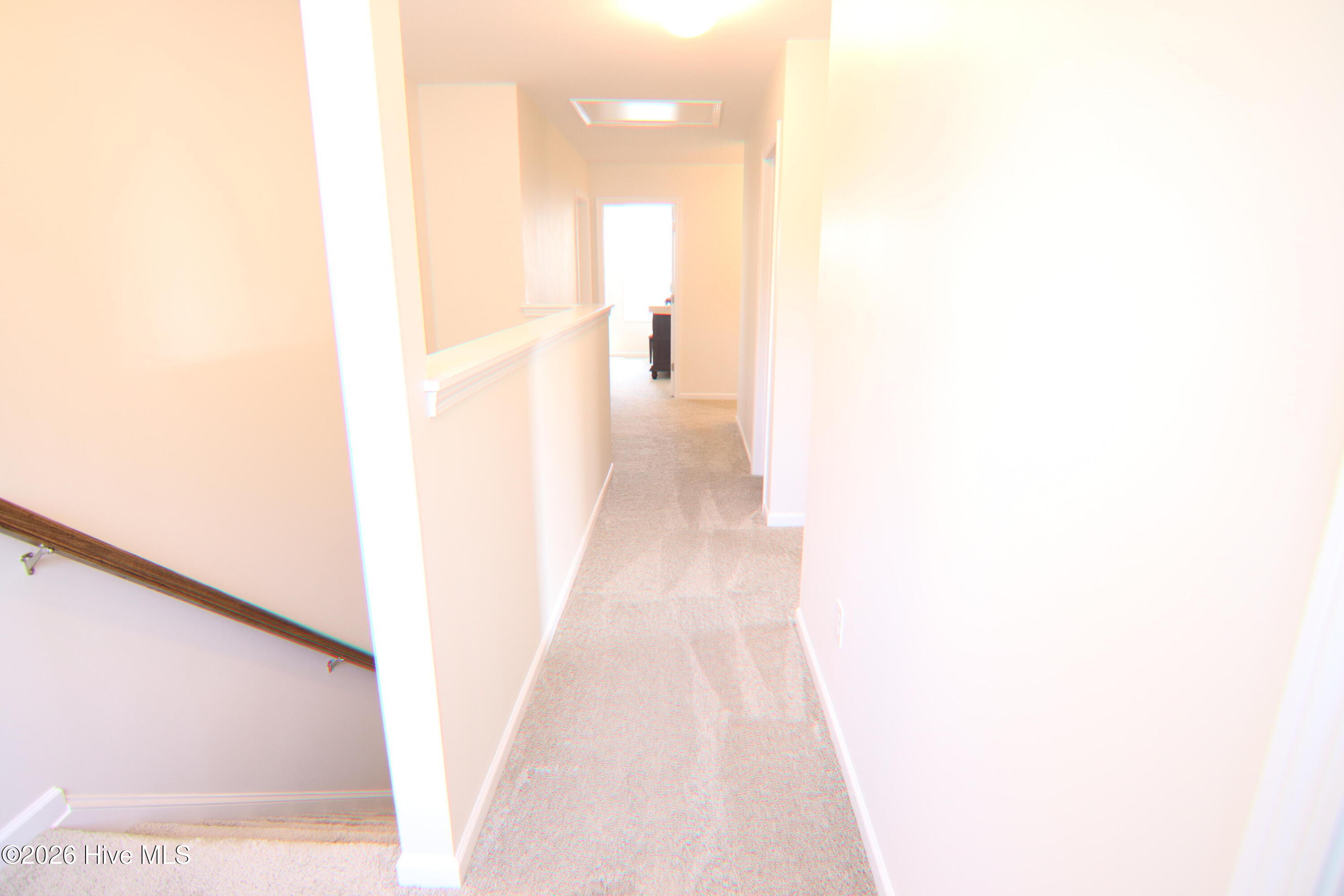 100565825 | Photo 22