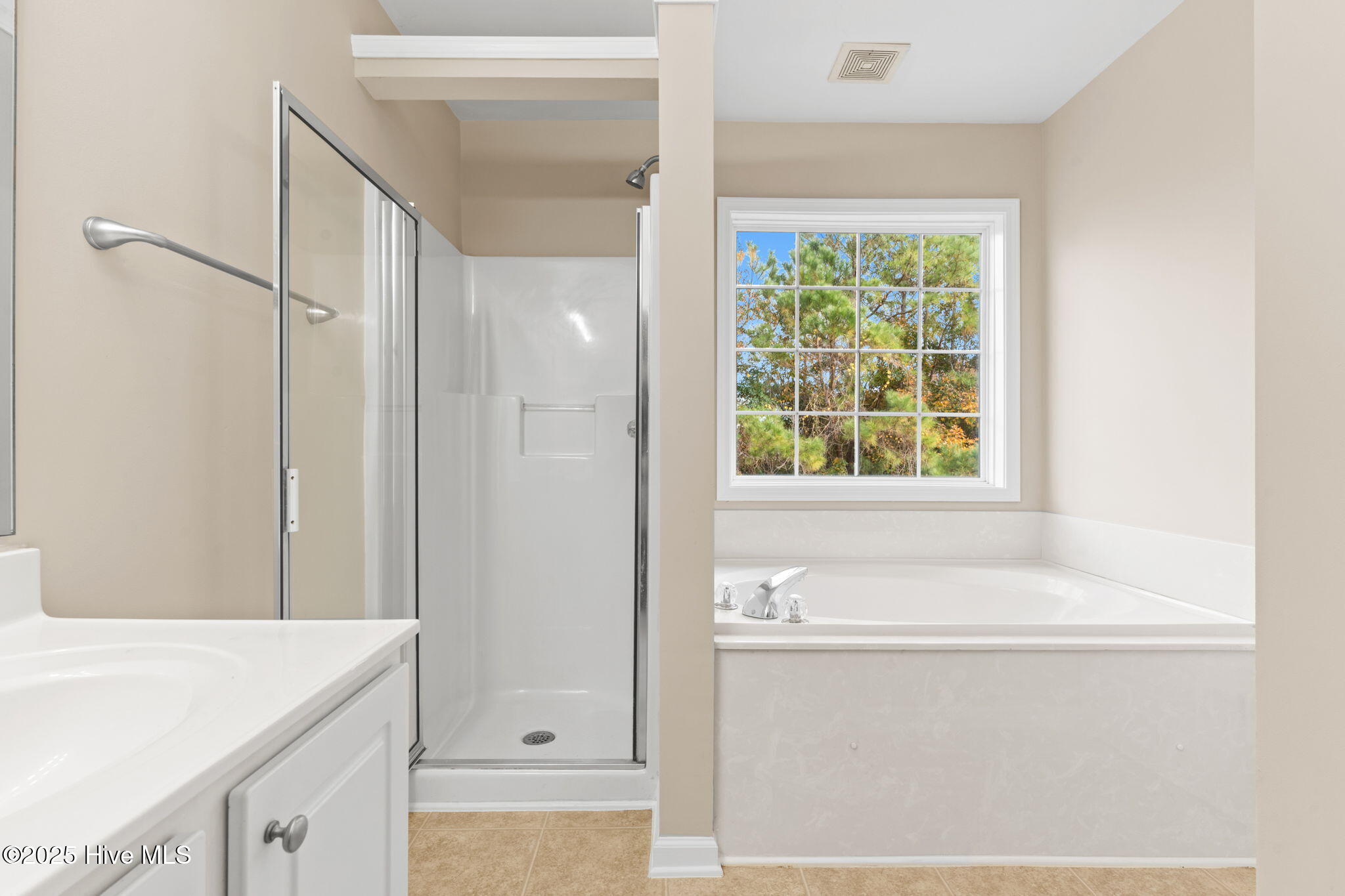 100542570 | Photo 56