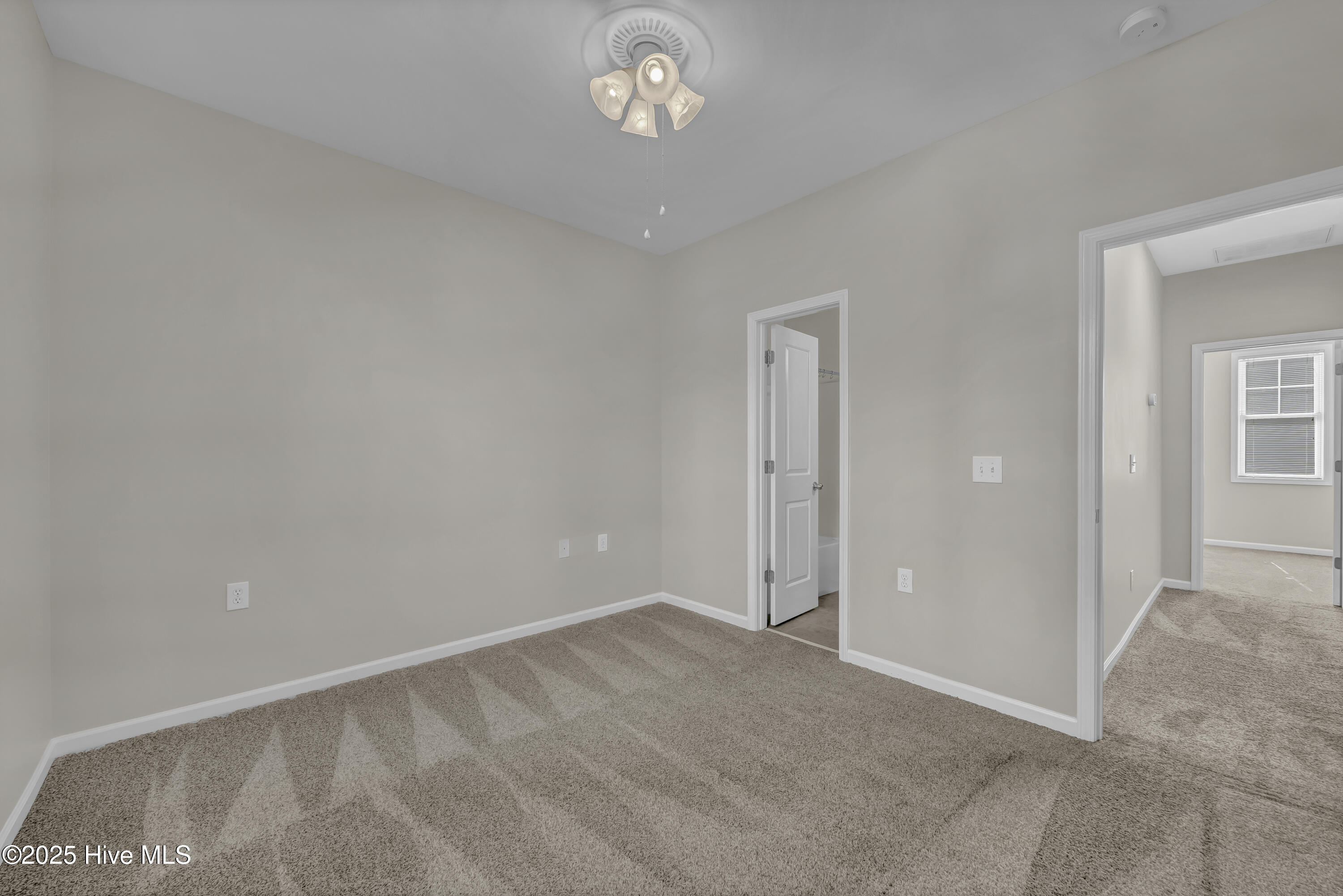 100538265 | Photo 12