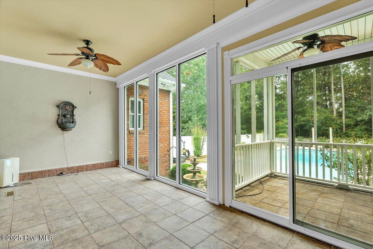 100534566 | Photo 102