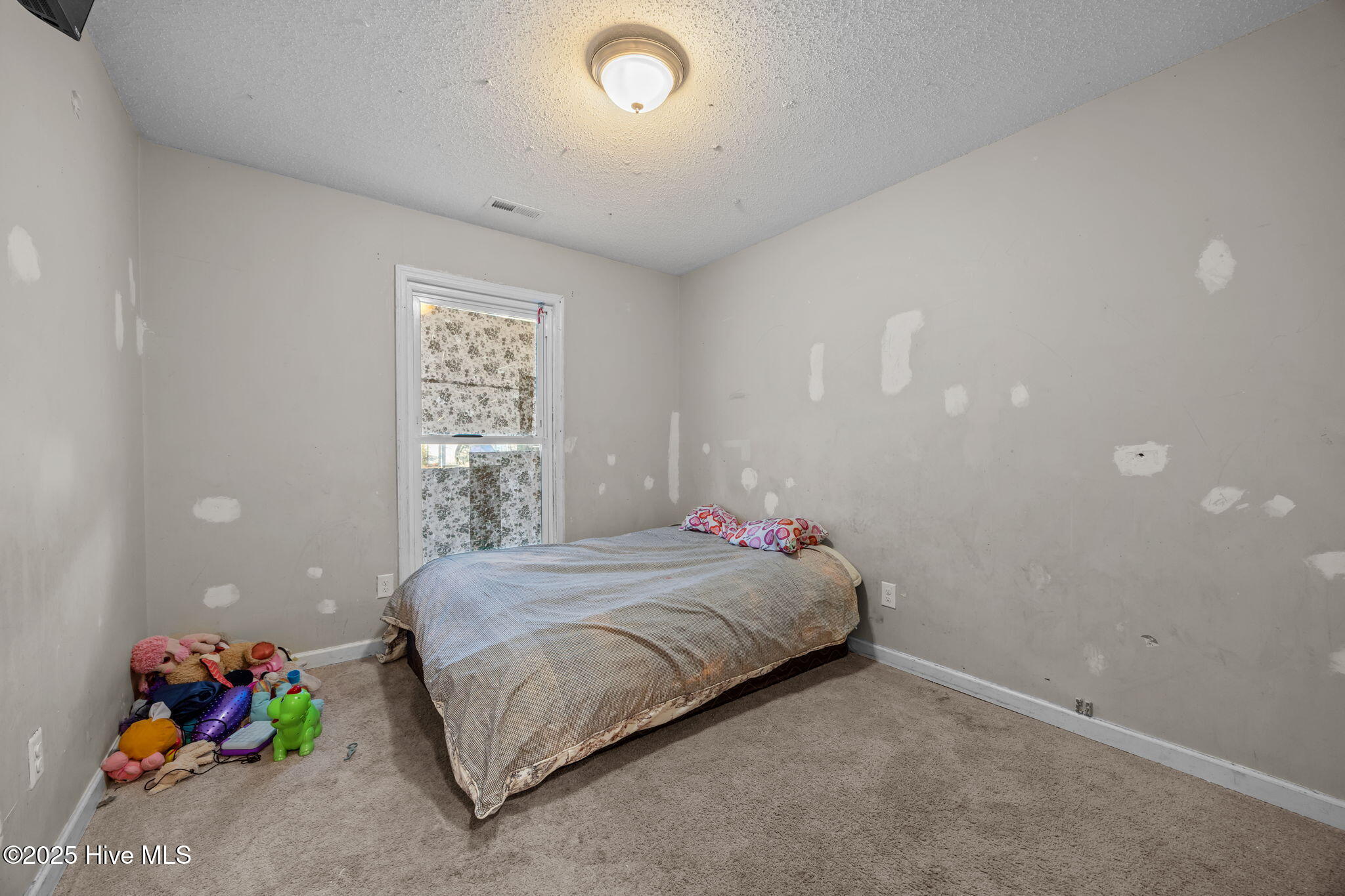 100545401 | Photo 20