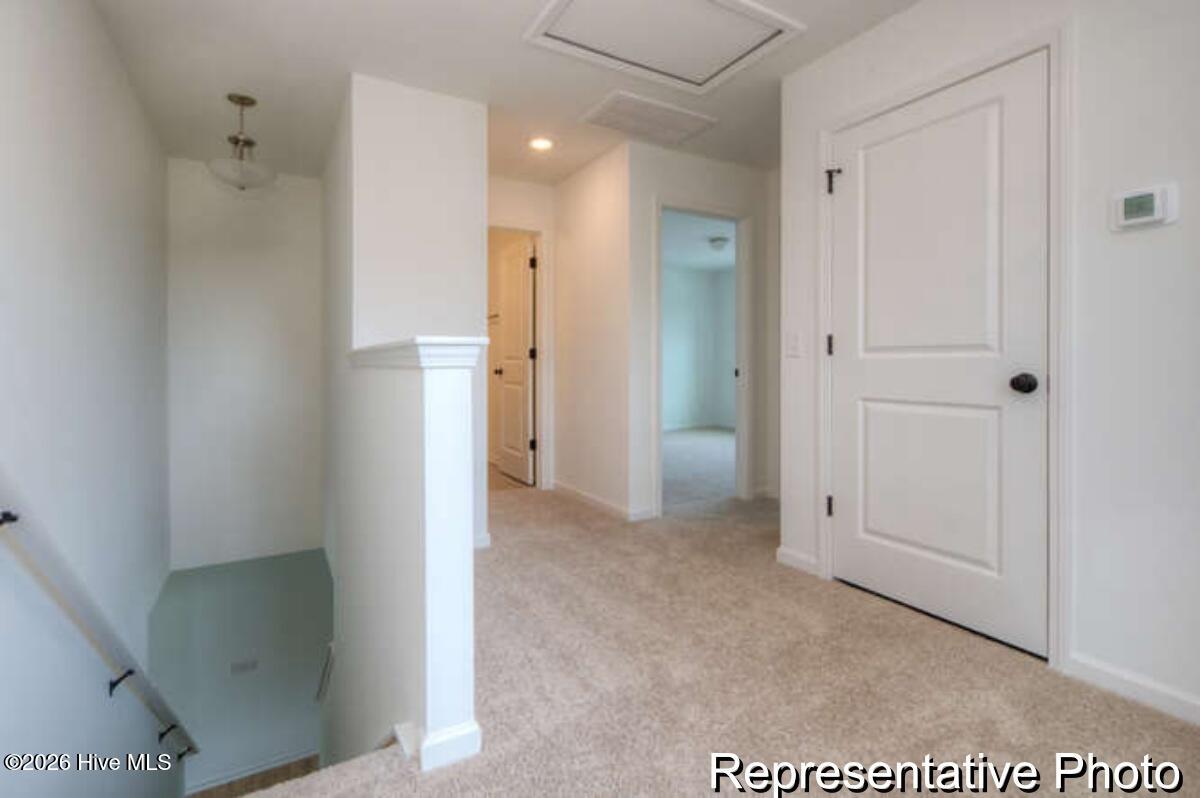 100558082 | Photo 17