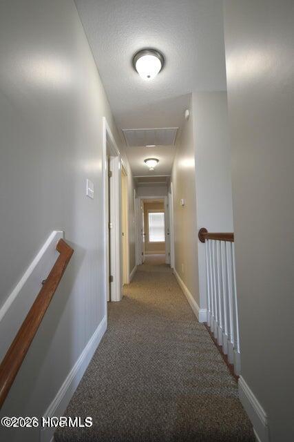 100558336 | Photo 12