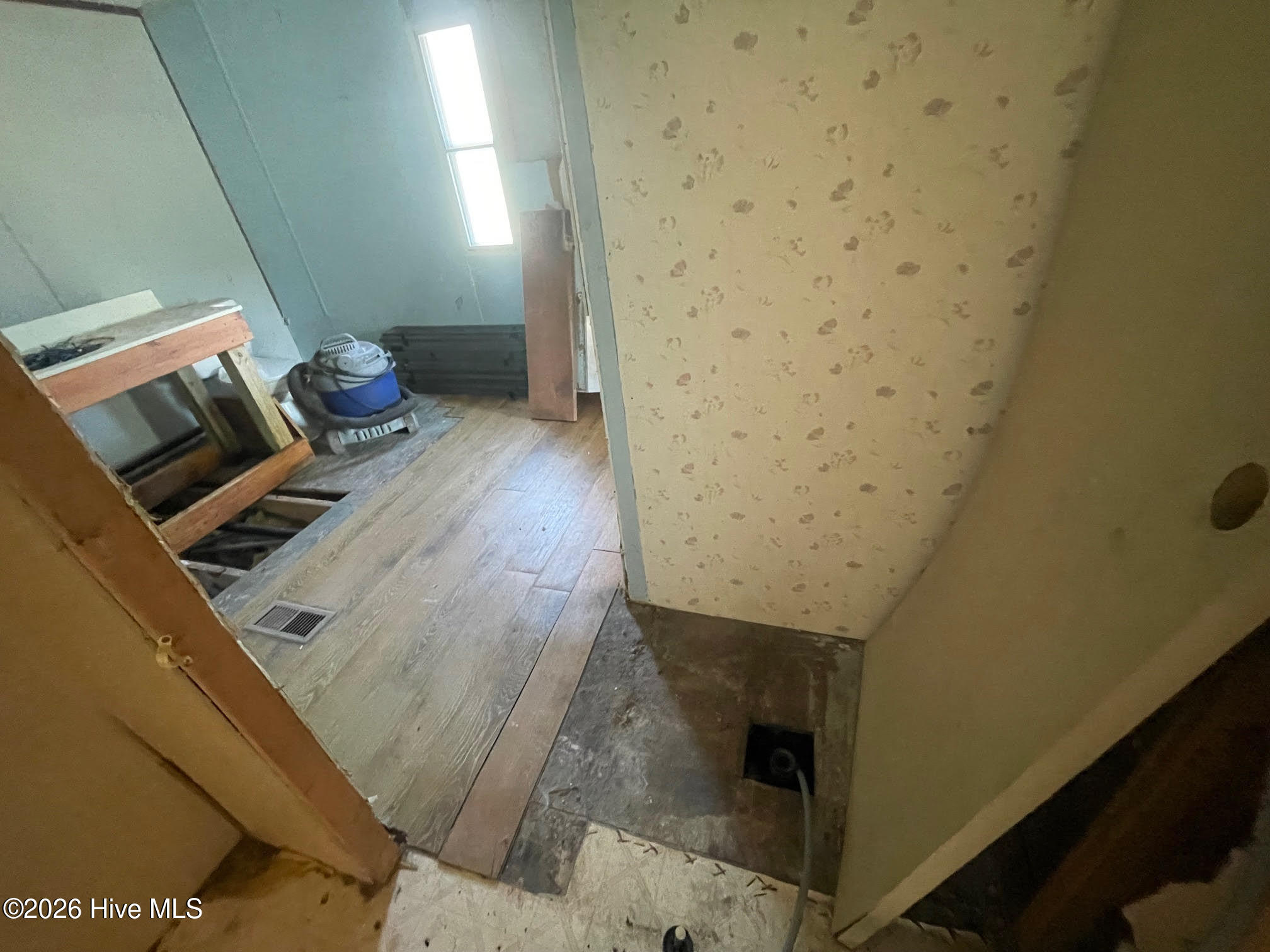 100559877 | Photo 17