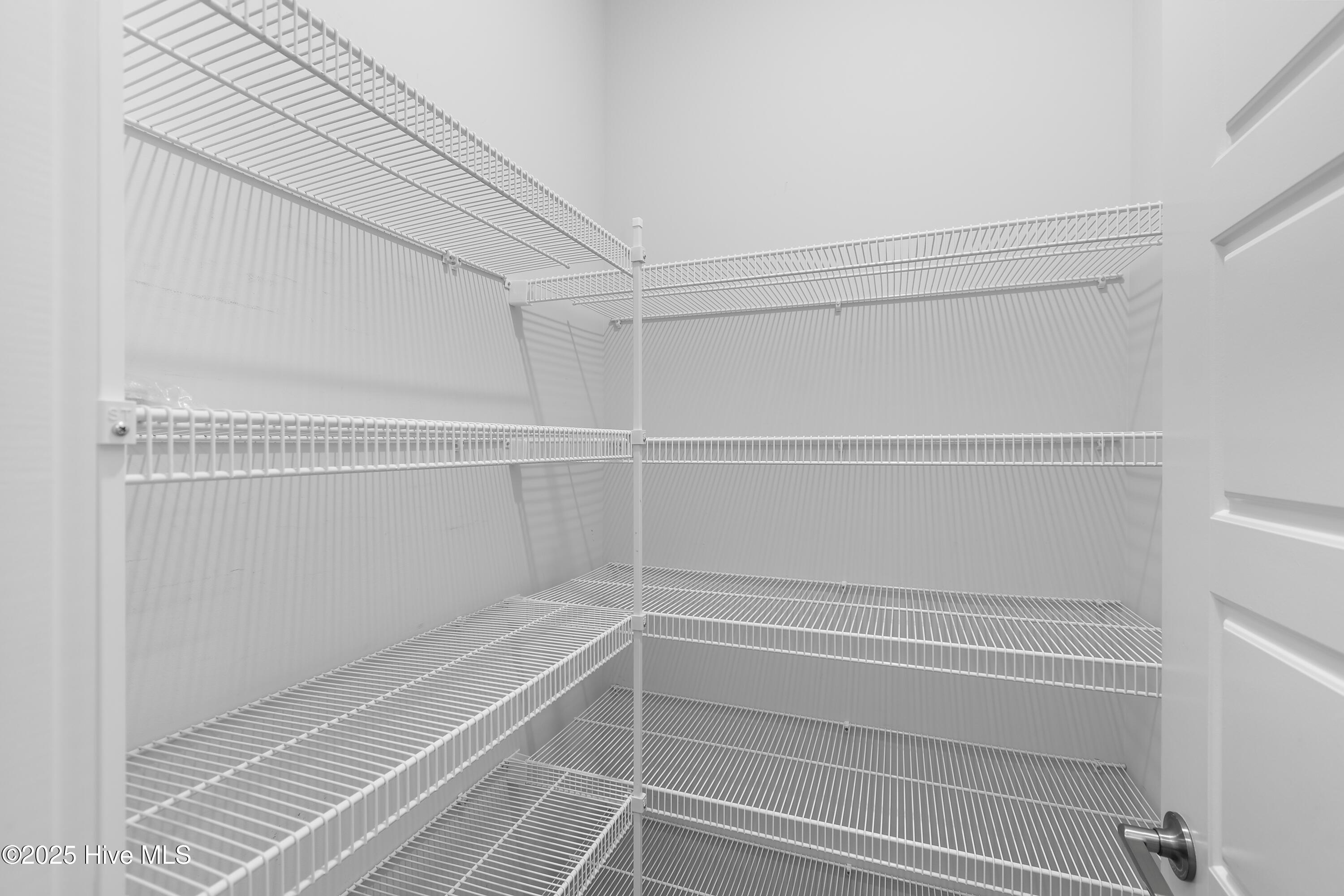 100539613 | Photo 33