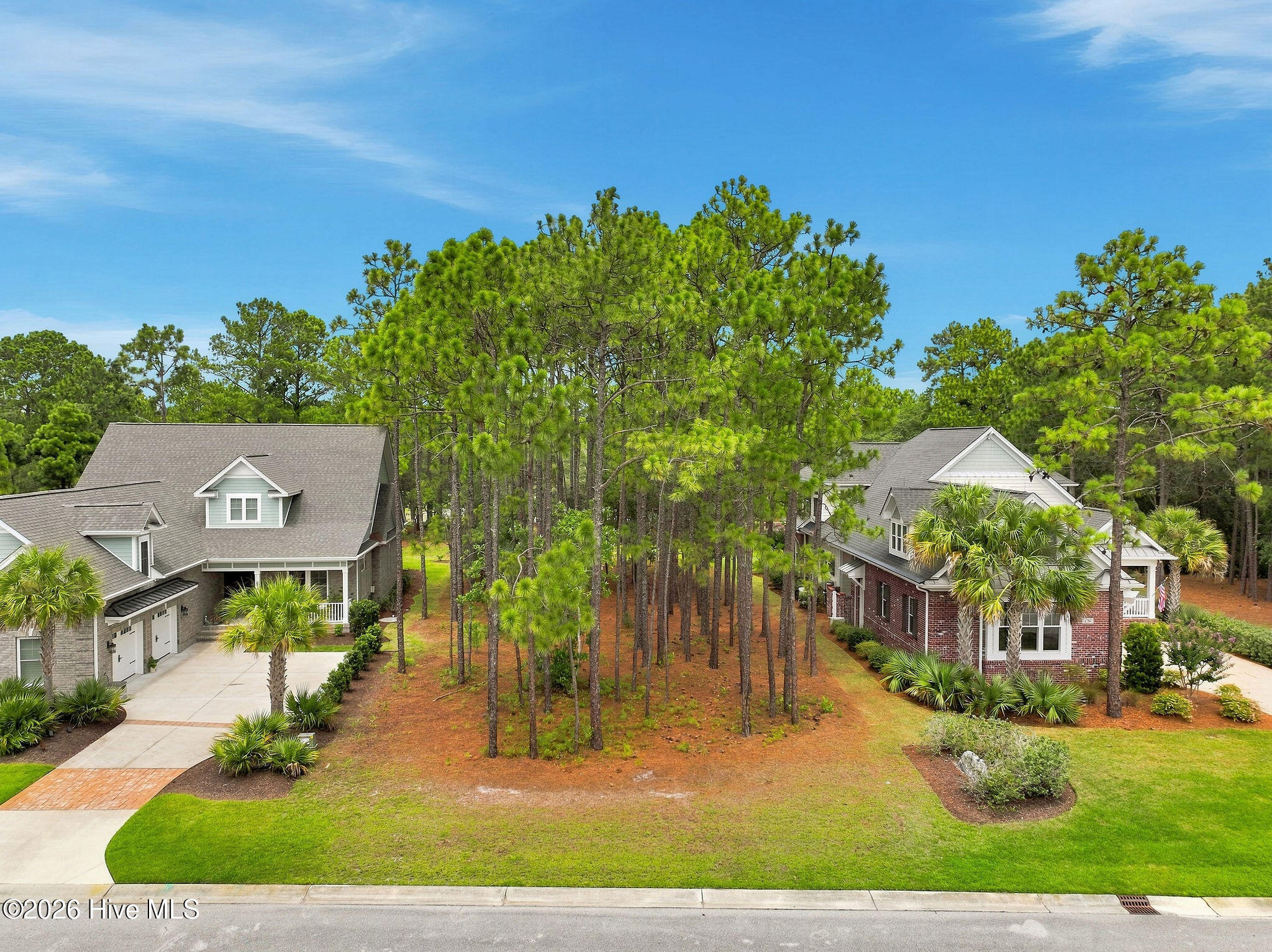 Carolina Barrier Islands