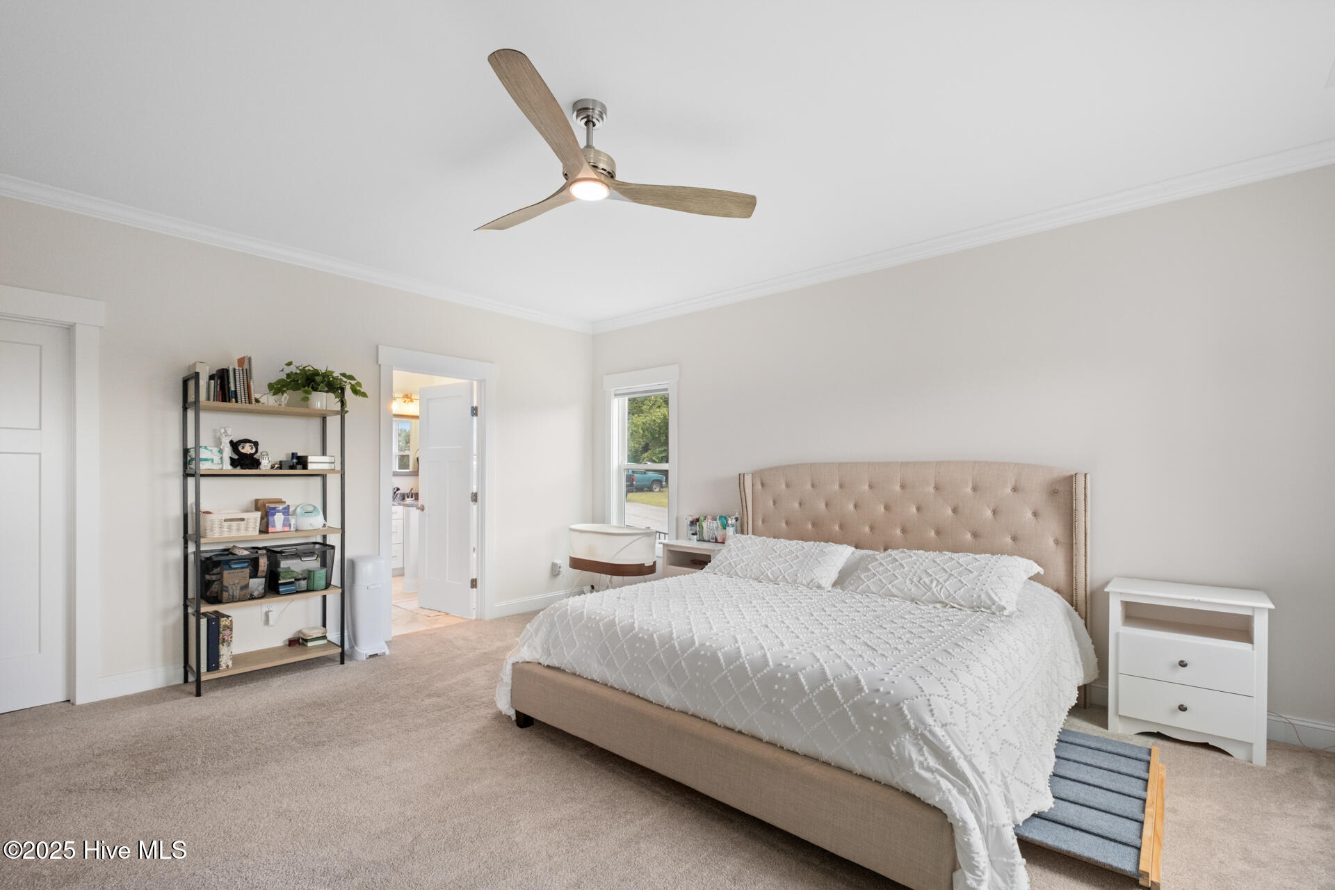 100554078 | Photo 29