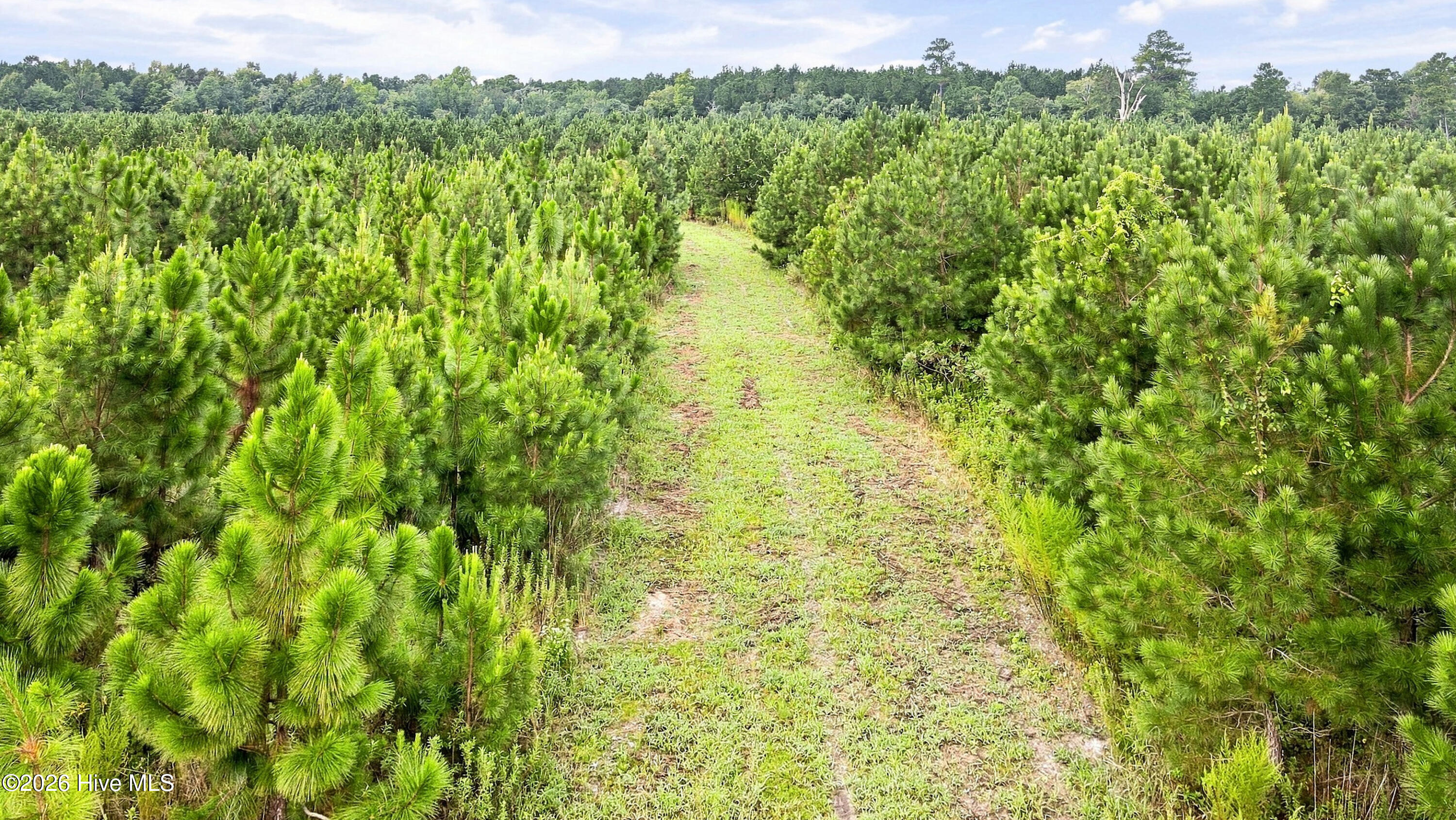 795 Pollard Swamp Road,Vanceboro