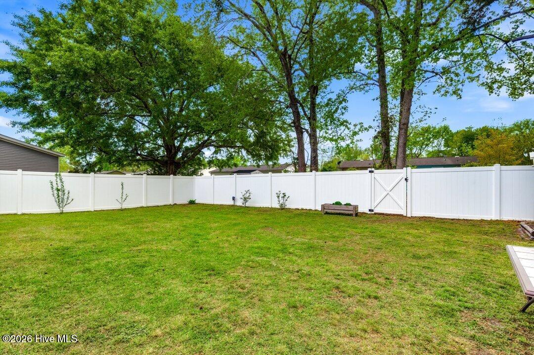 100566216 | Photo 28