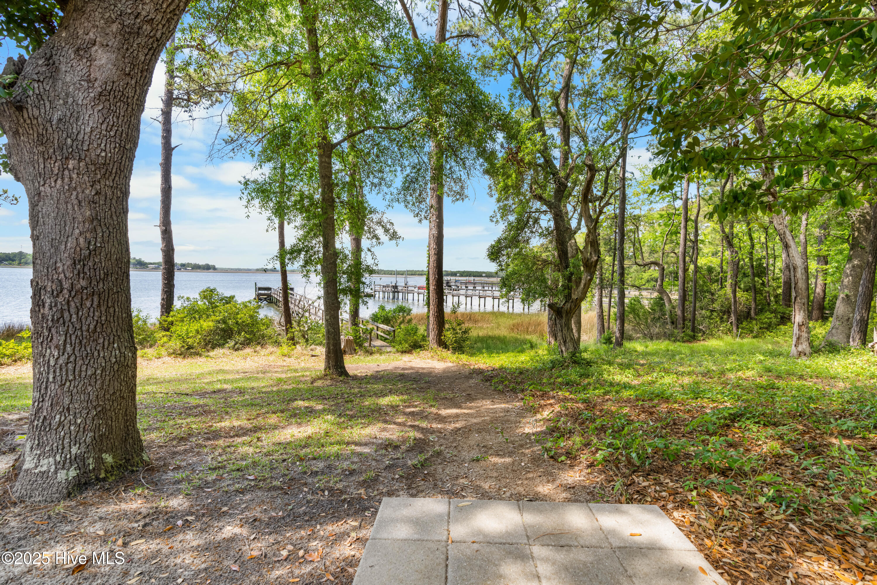 100570378 | Photo 61