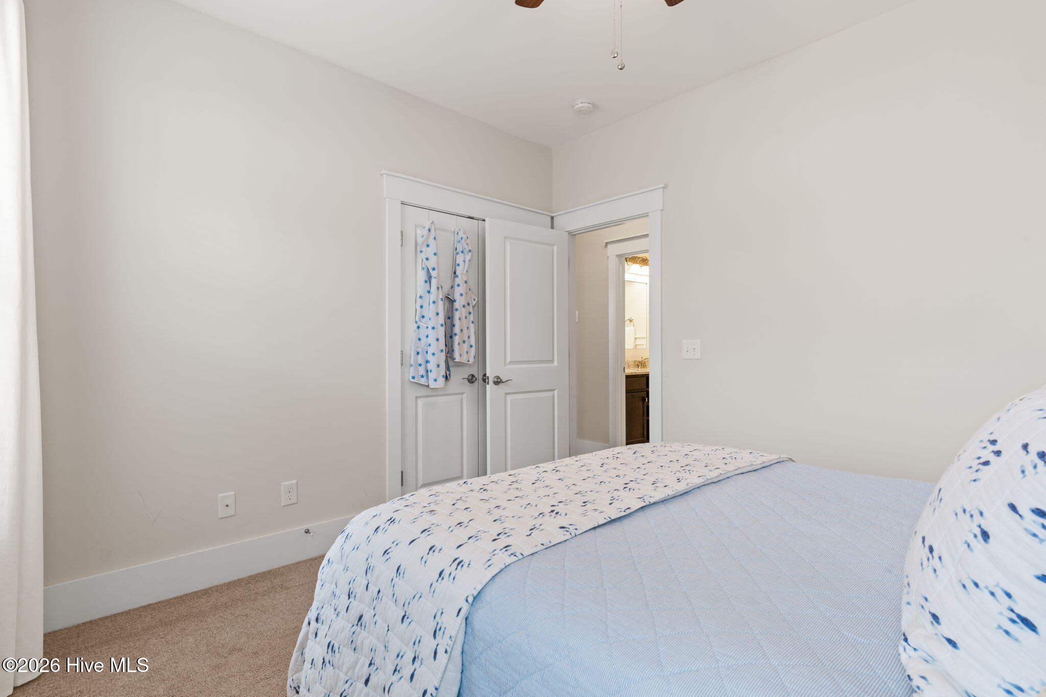 100555251 | Photo 33