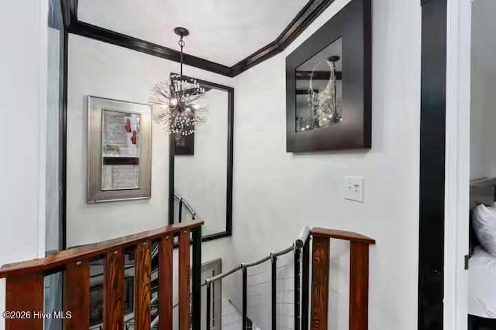 100562028 | Photo 20