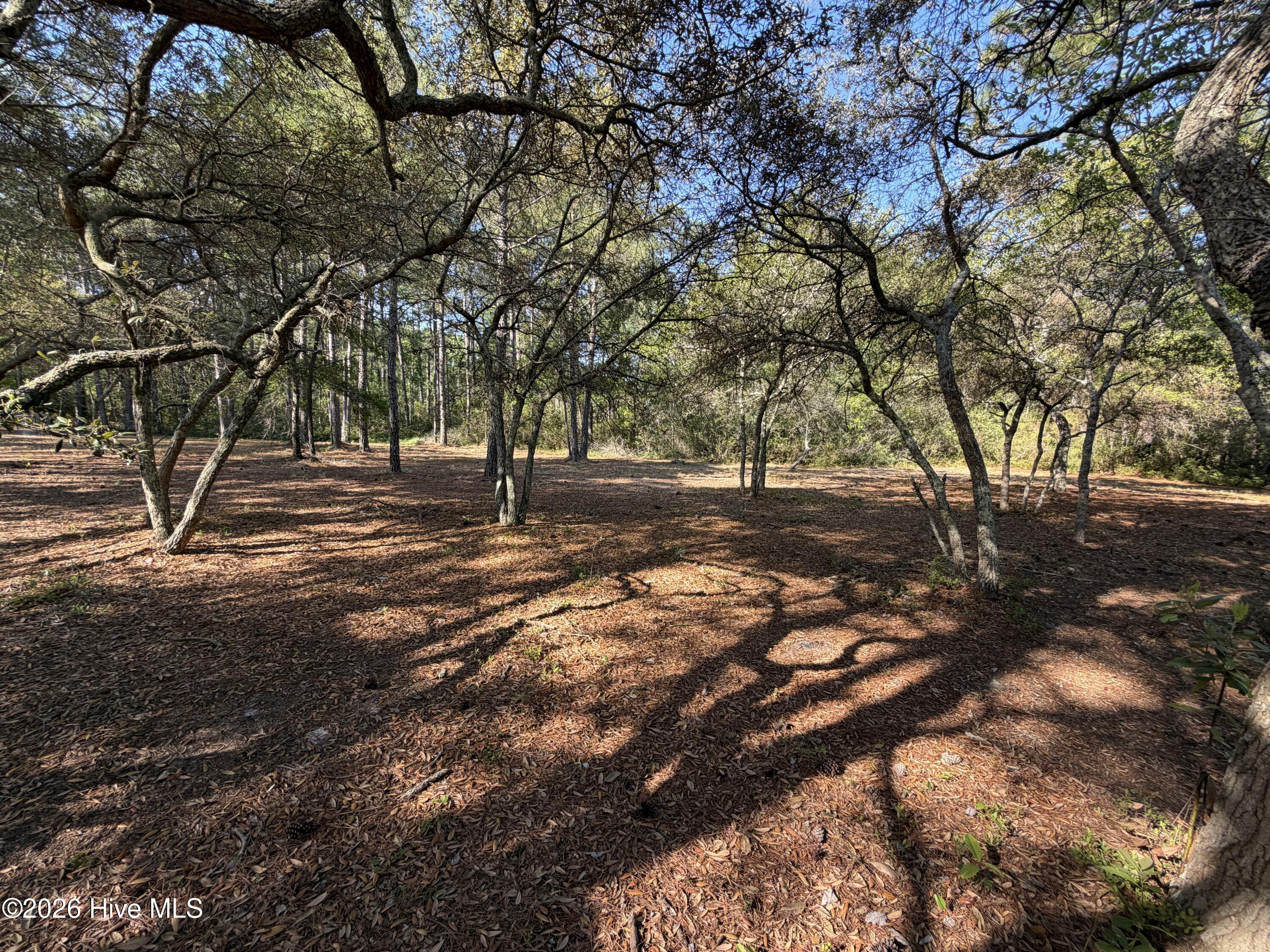 100569974 | Photo 12