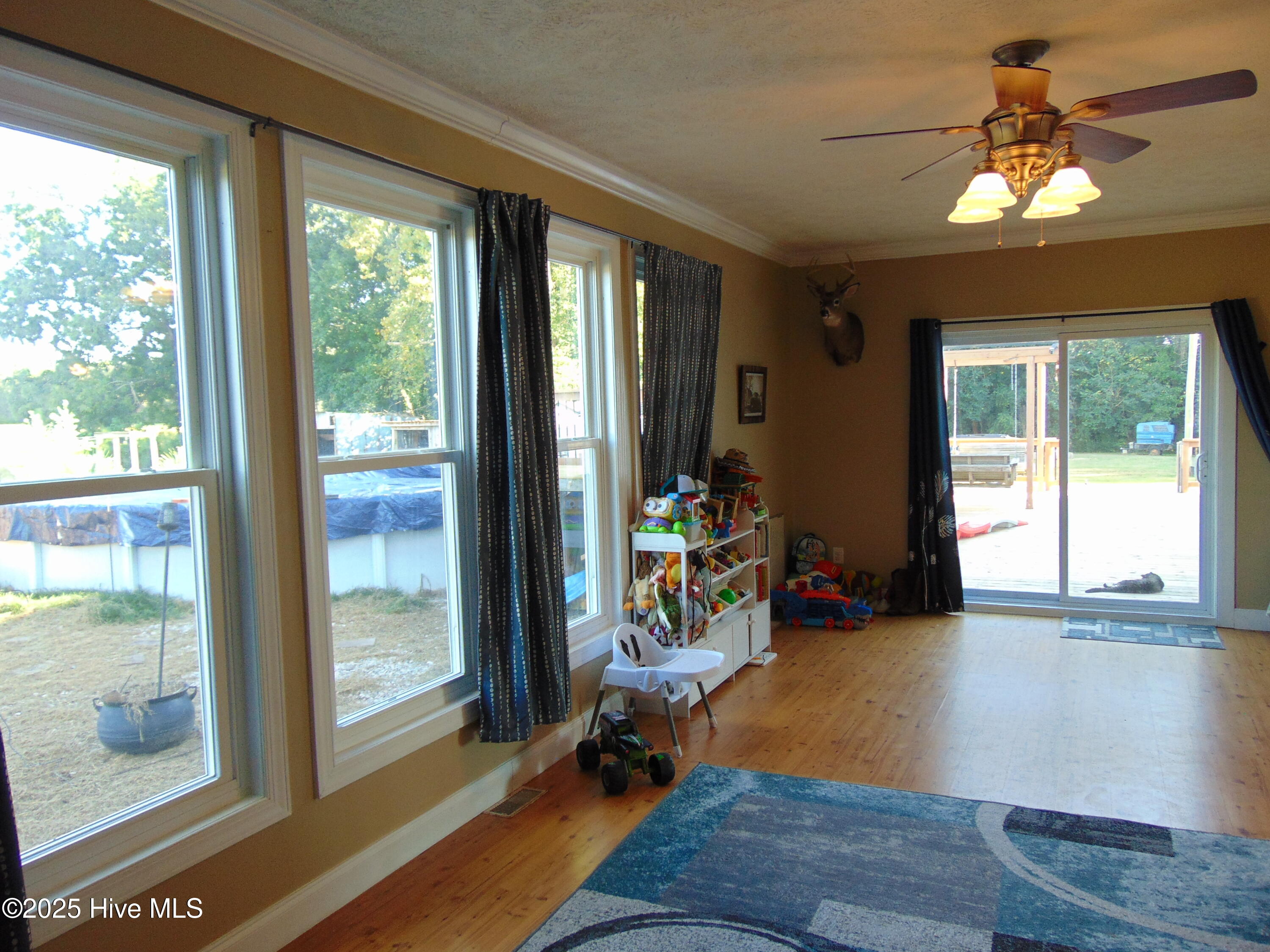 13619 Us Highway 258, Scotland Neck, NC, 27874