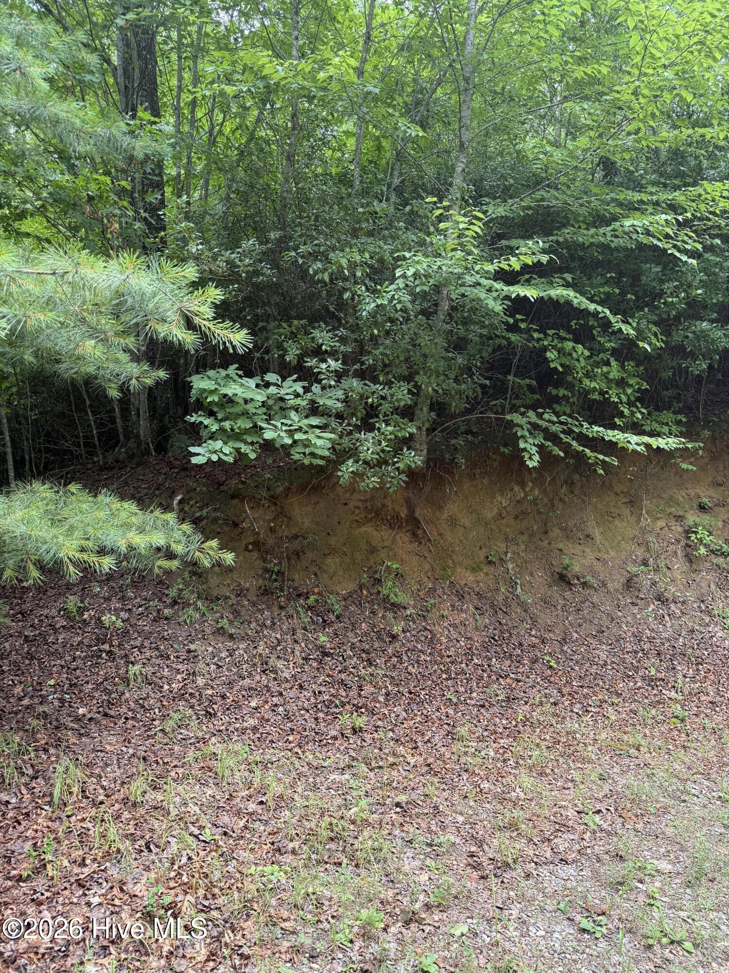2nd image of Lot 3 Mountain Vista Ln, Topton, NC 28781 | MLS# 100593359
