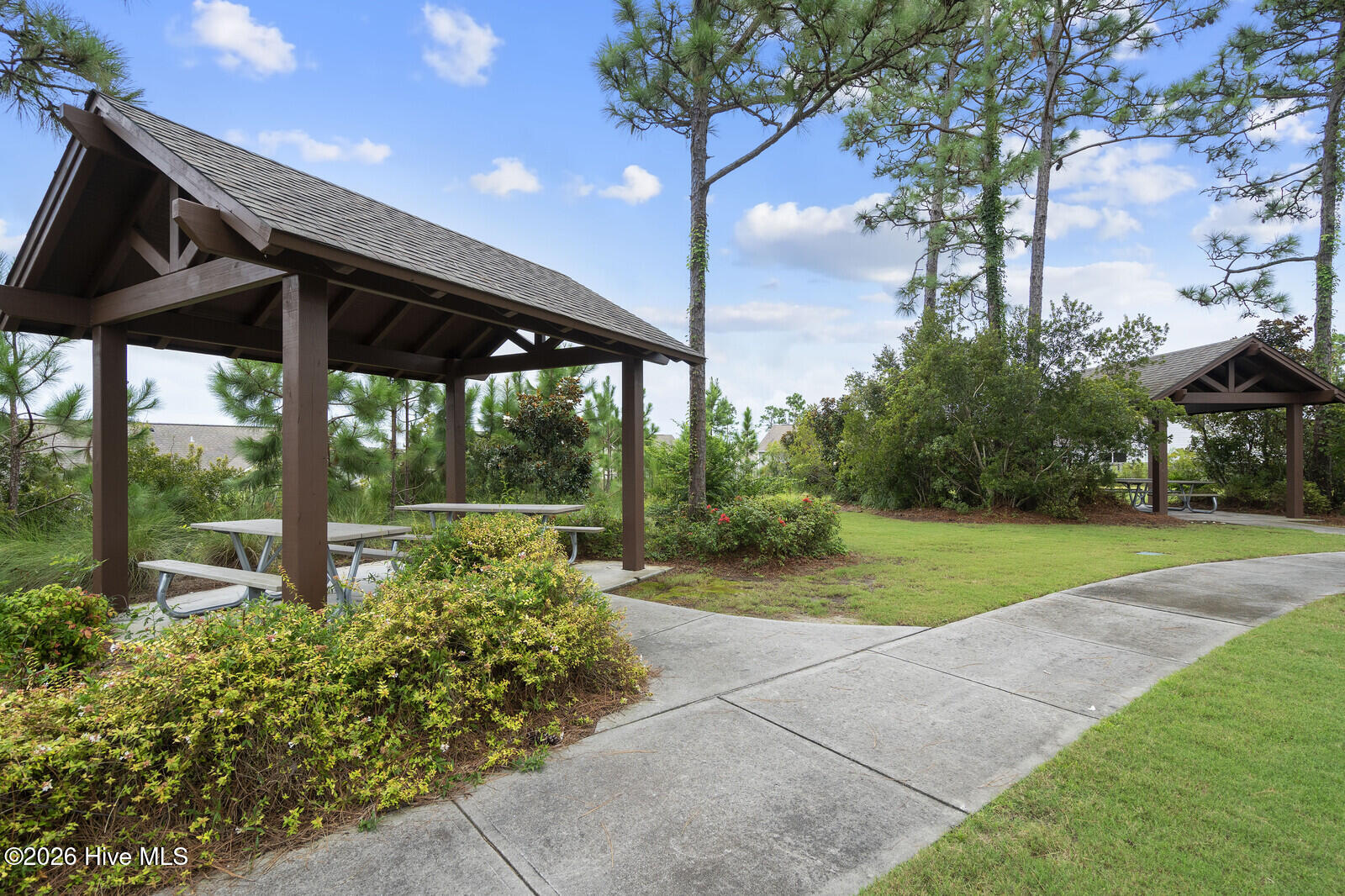 100558633 | Photo 49