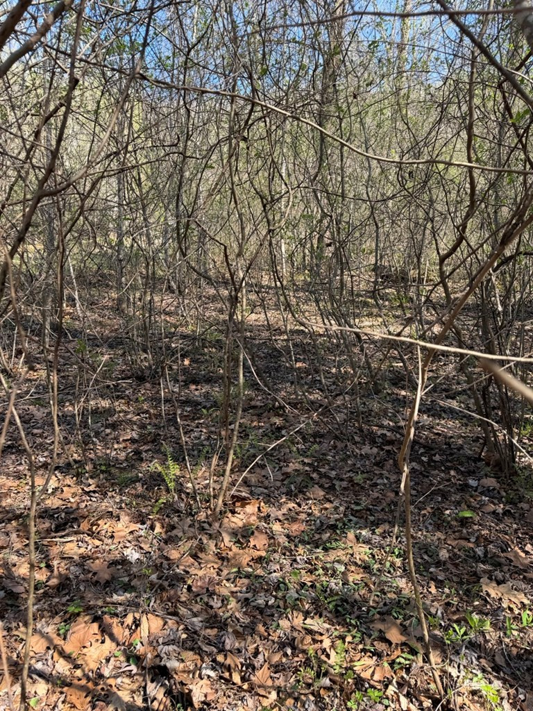 Exterior photo of Lot 16-N High Meadows Drive, Hayesville, NC 28904. MLS: 98544437