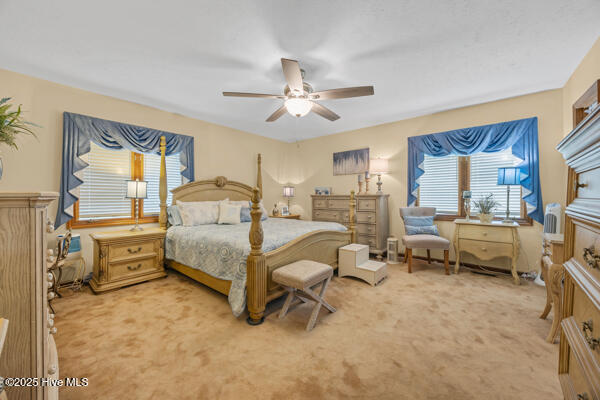 100540633 | Photo 13