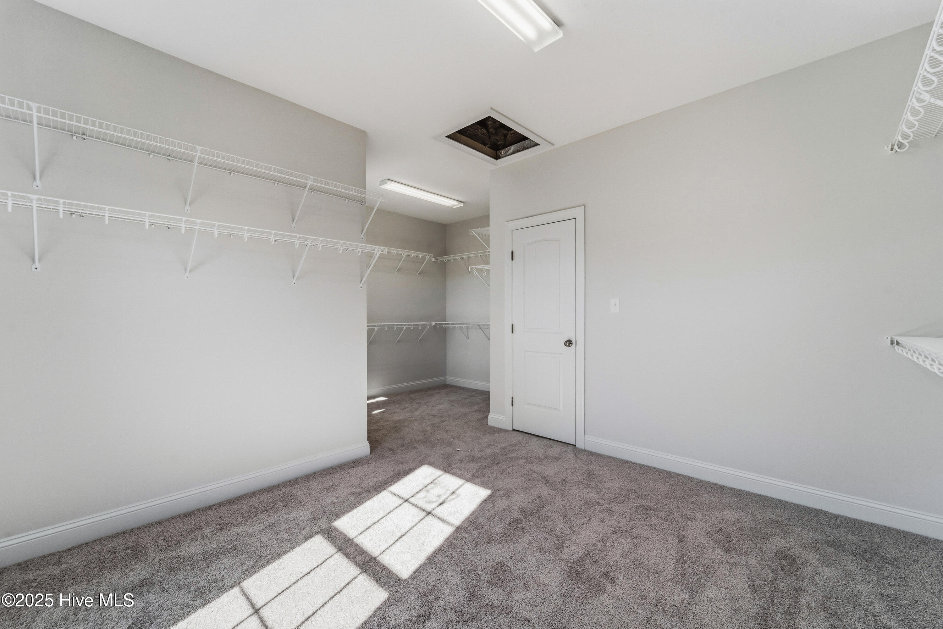 100507168 | Photo 28