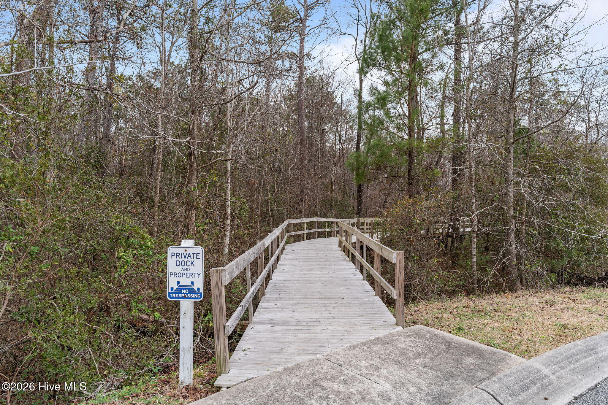 100558259 | Photo 48