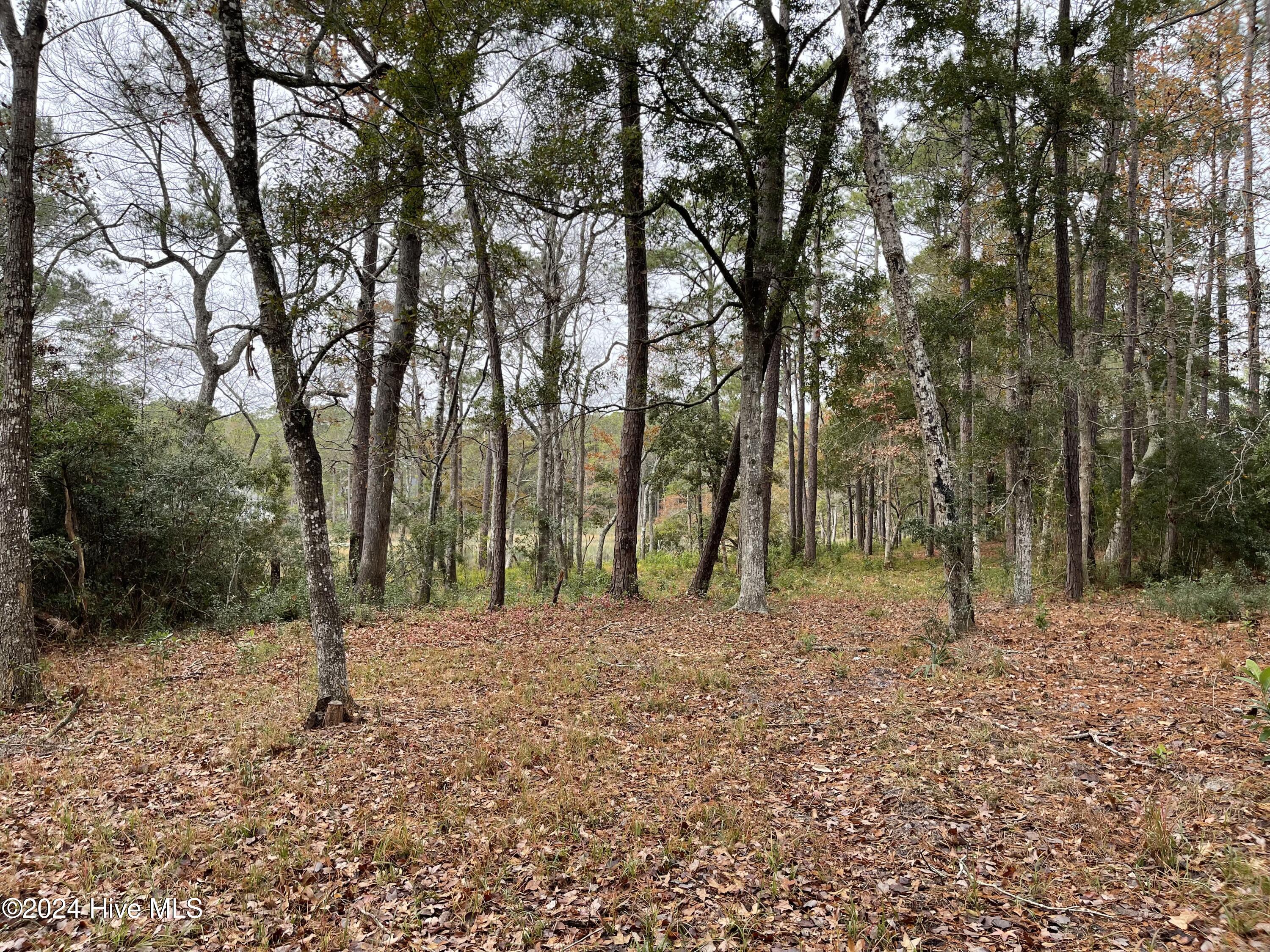 100481360 | Photo 16