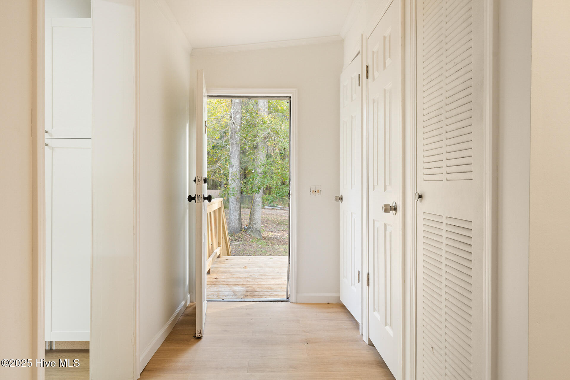 100541471 | Photo 30