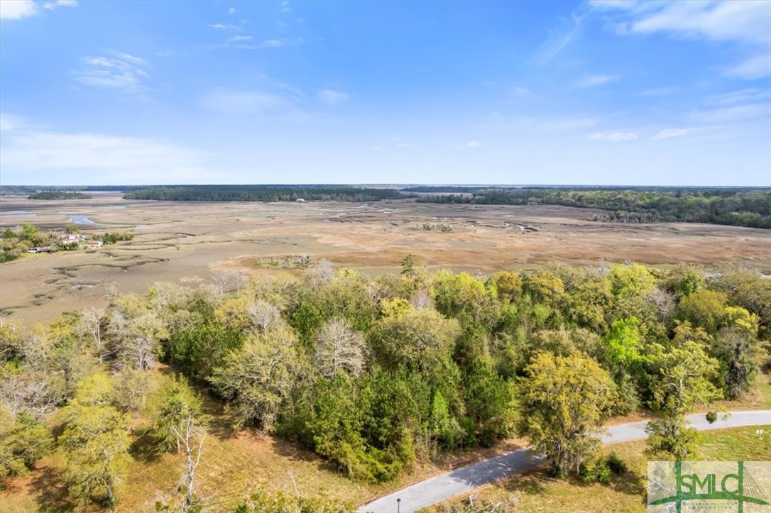 LOT 6 Bermuda Bluff Lane, Midway, GA, 31320