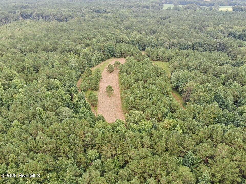 Exterior photo of 359 Roe And Sarah Drive, Clarkton, NC 28433. MLS: 100593636