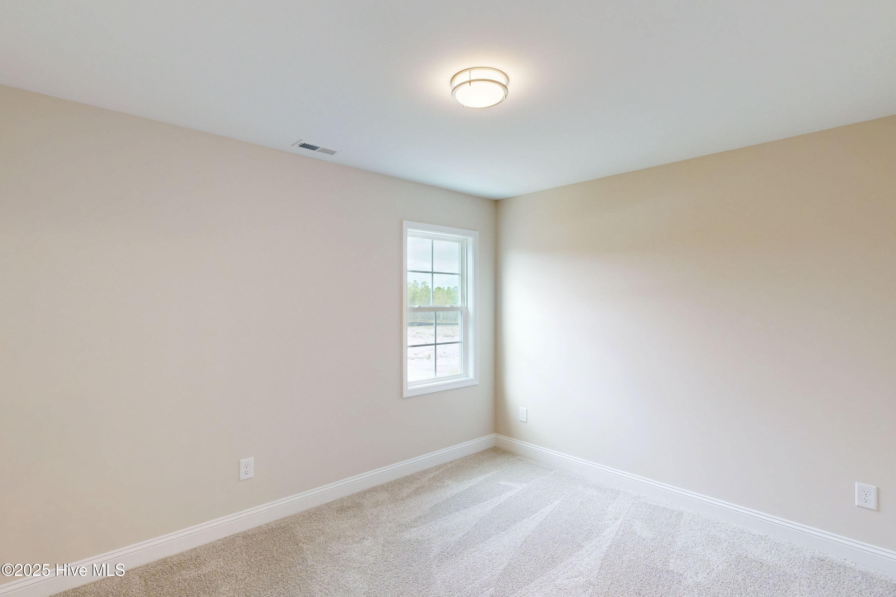 100493004 | Photo 16