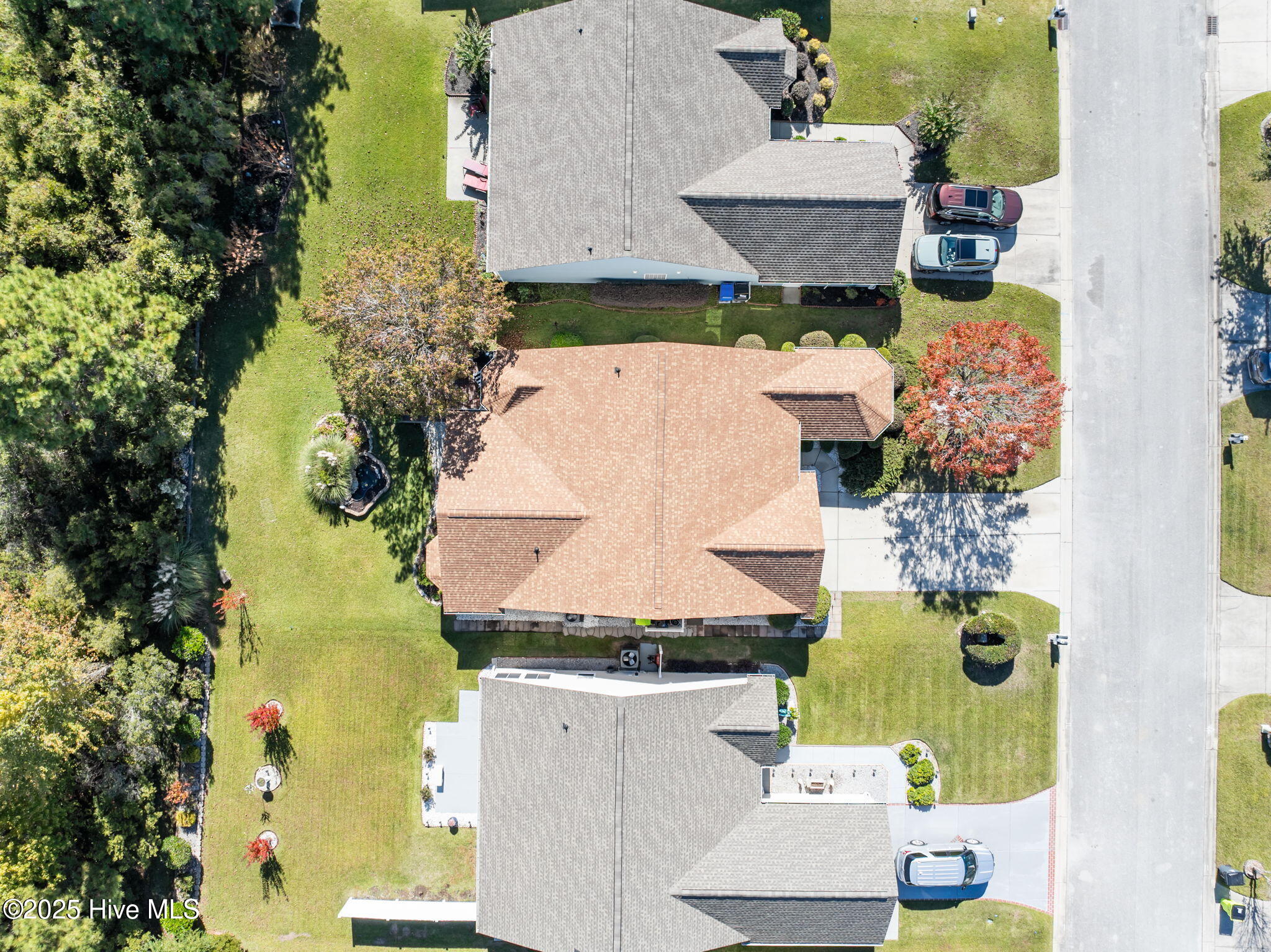 100540137 | Photo 41