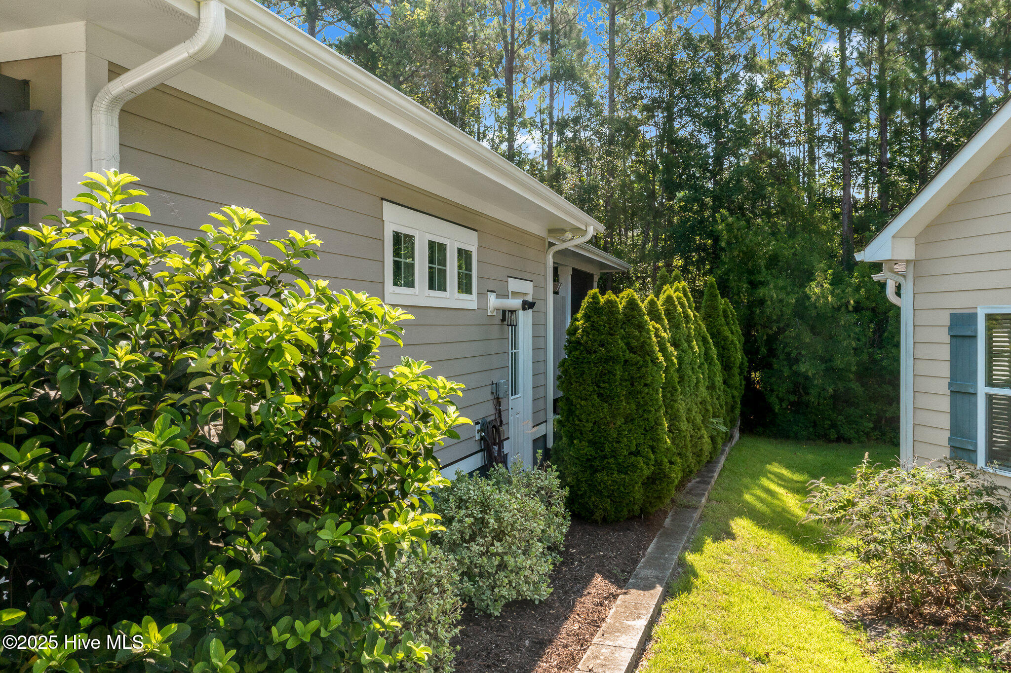 100530246 | Photo 35