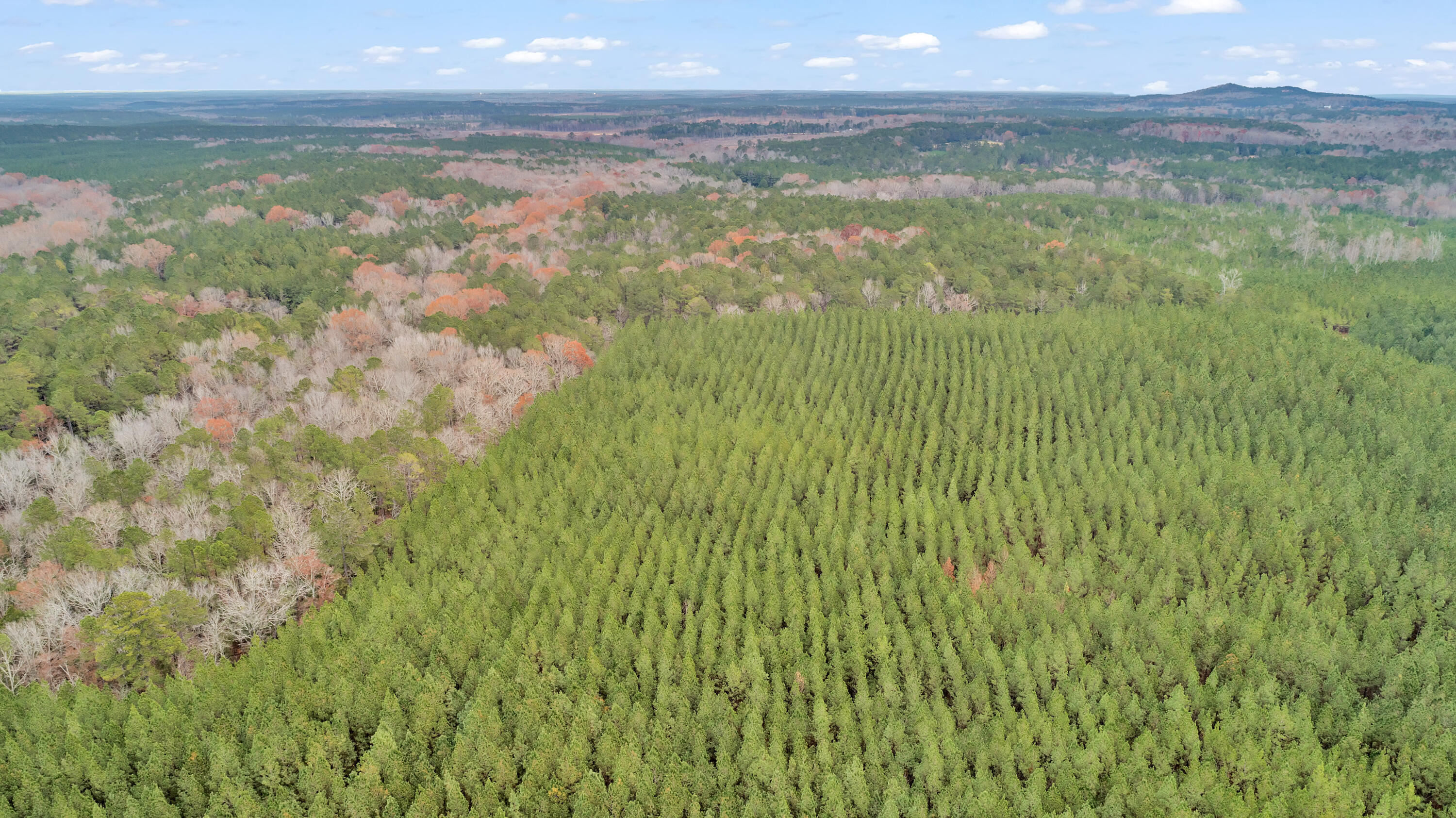 Saggus Rd land 121-007A, 400ft View, Dro