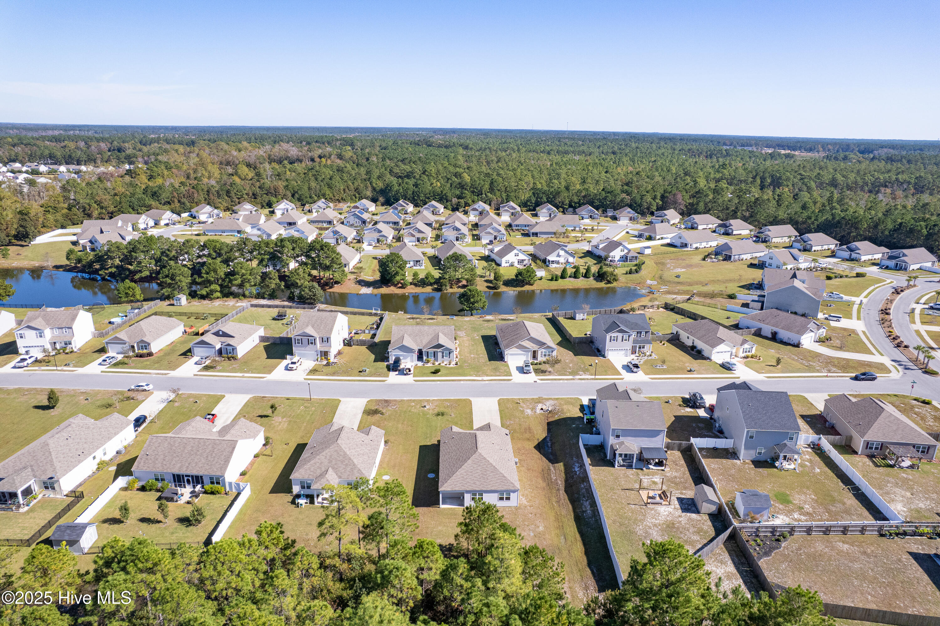 100538359 | Photo 31