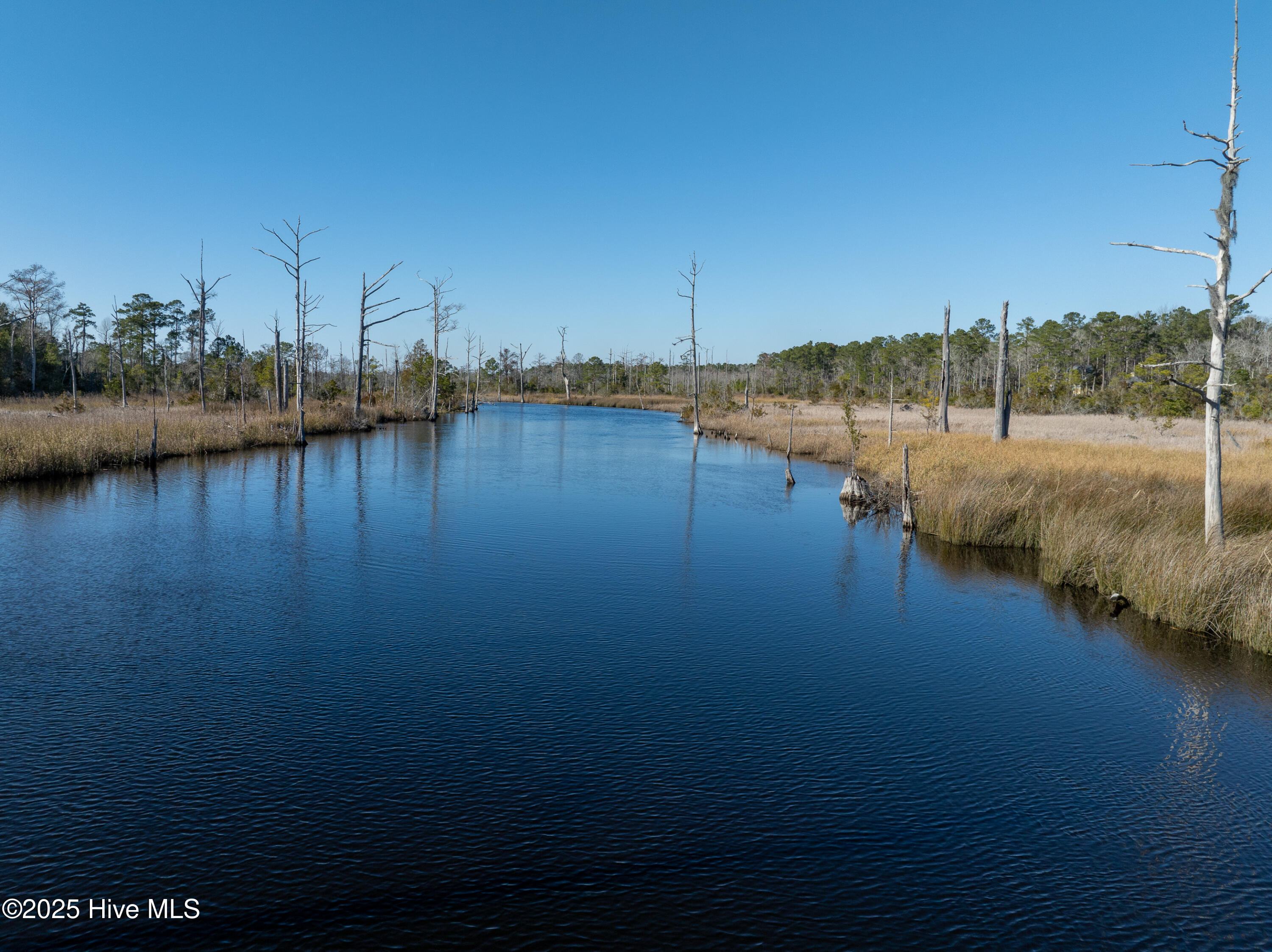 100536128 | Photo 47