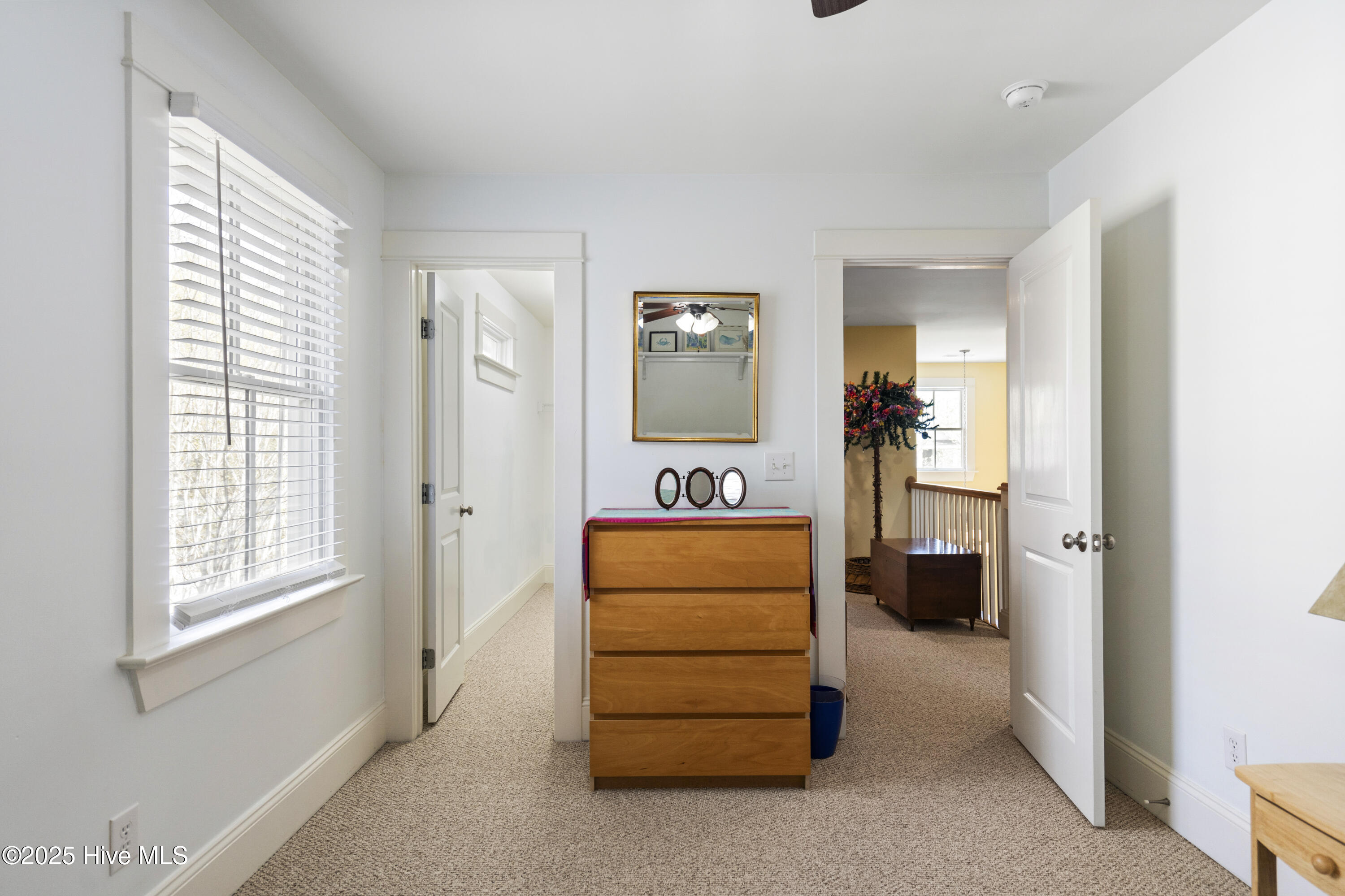 100545789 | Photo 29