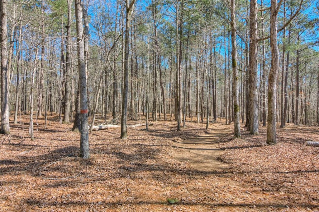 1076 Providence Ferry Road, Lincolnton, GA 30817 Listing Photo  60