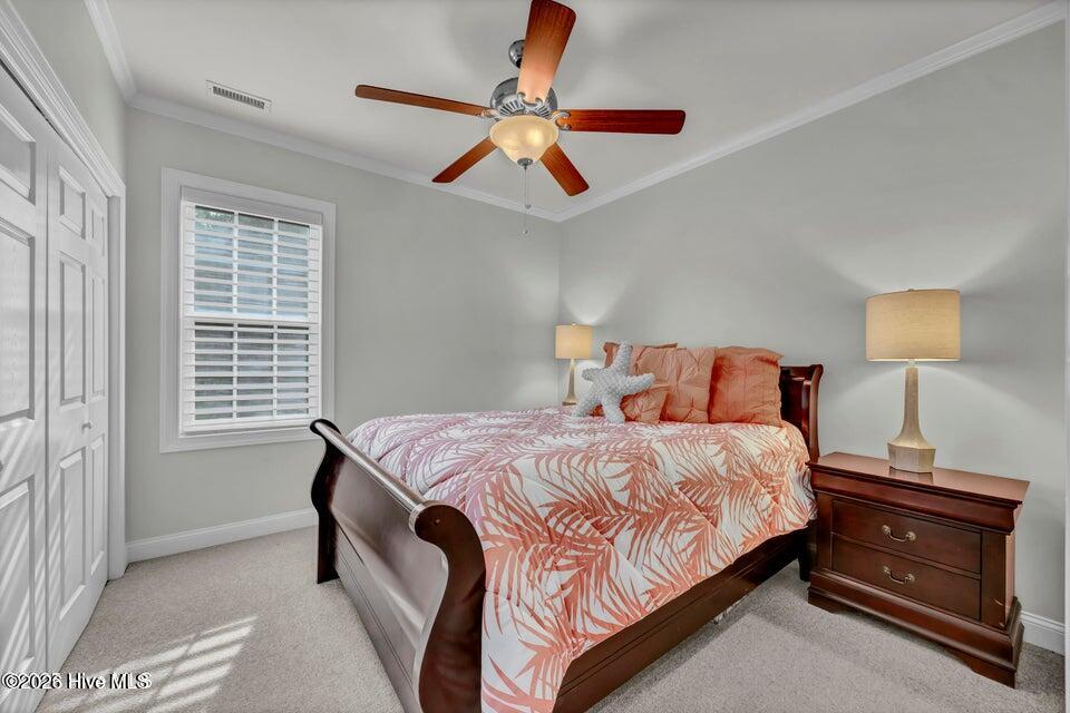 100569157 | Photo 17