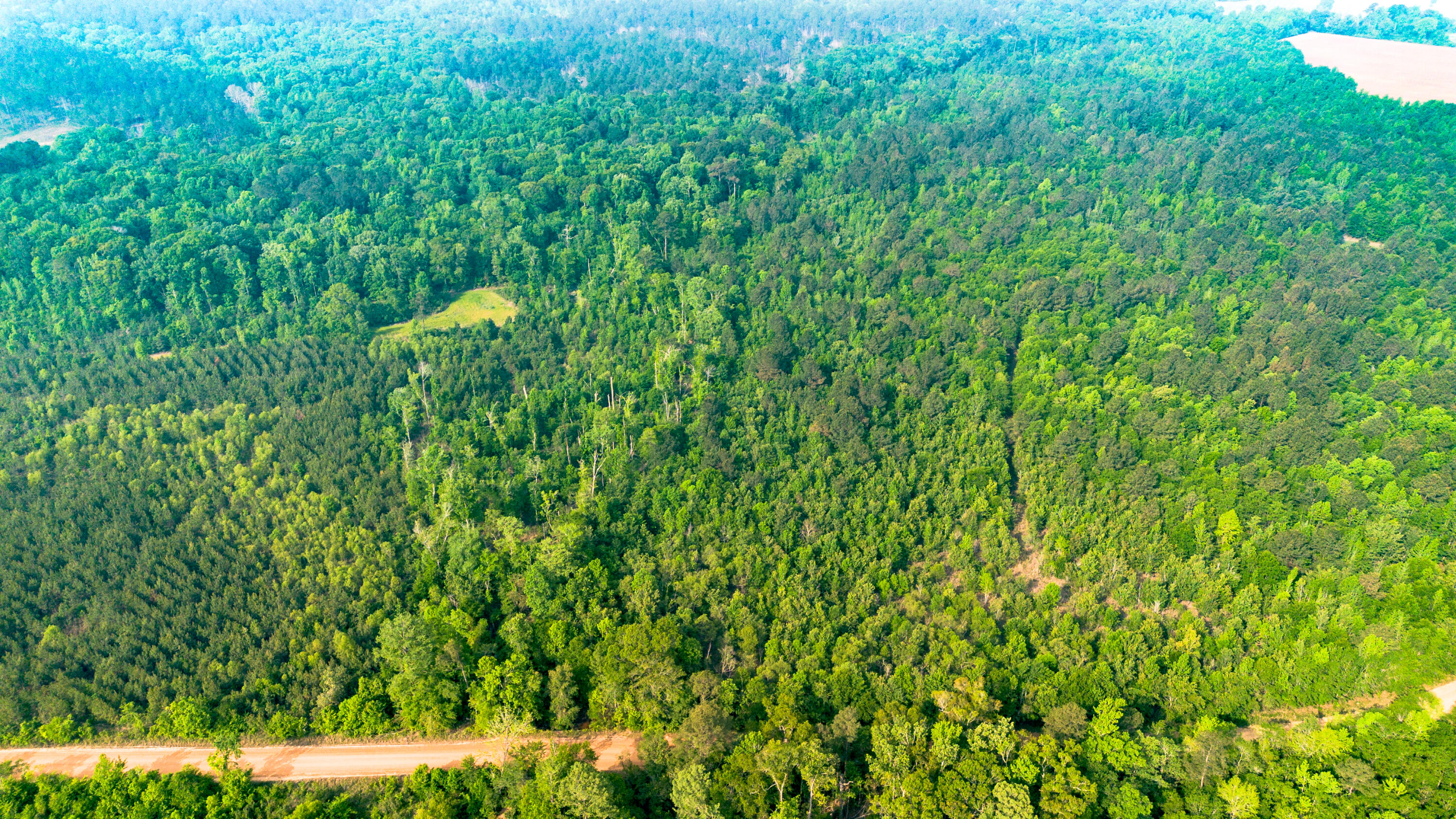 39 Cottingham, Pooler, GA, 31322