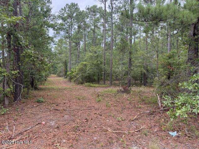 Exterior photo of 0 1 Nc Highway 210 Road, Currie, NC 28435. MLS: 100591122
