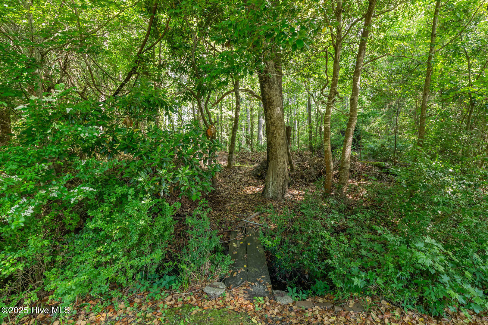 100544064 | Photo 49