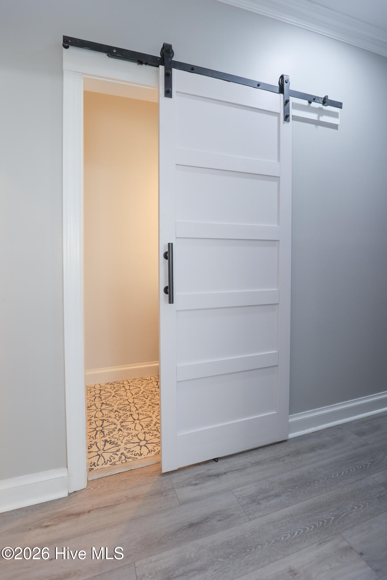 100556044 | Photo 26