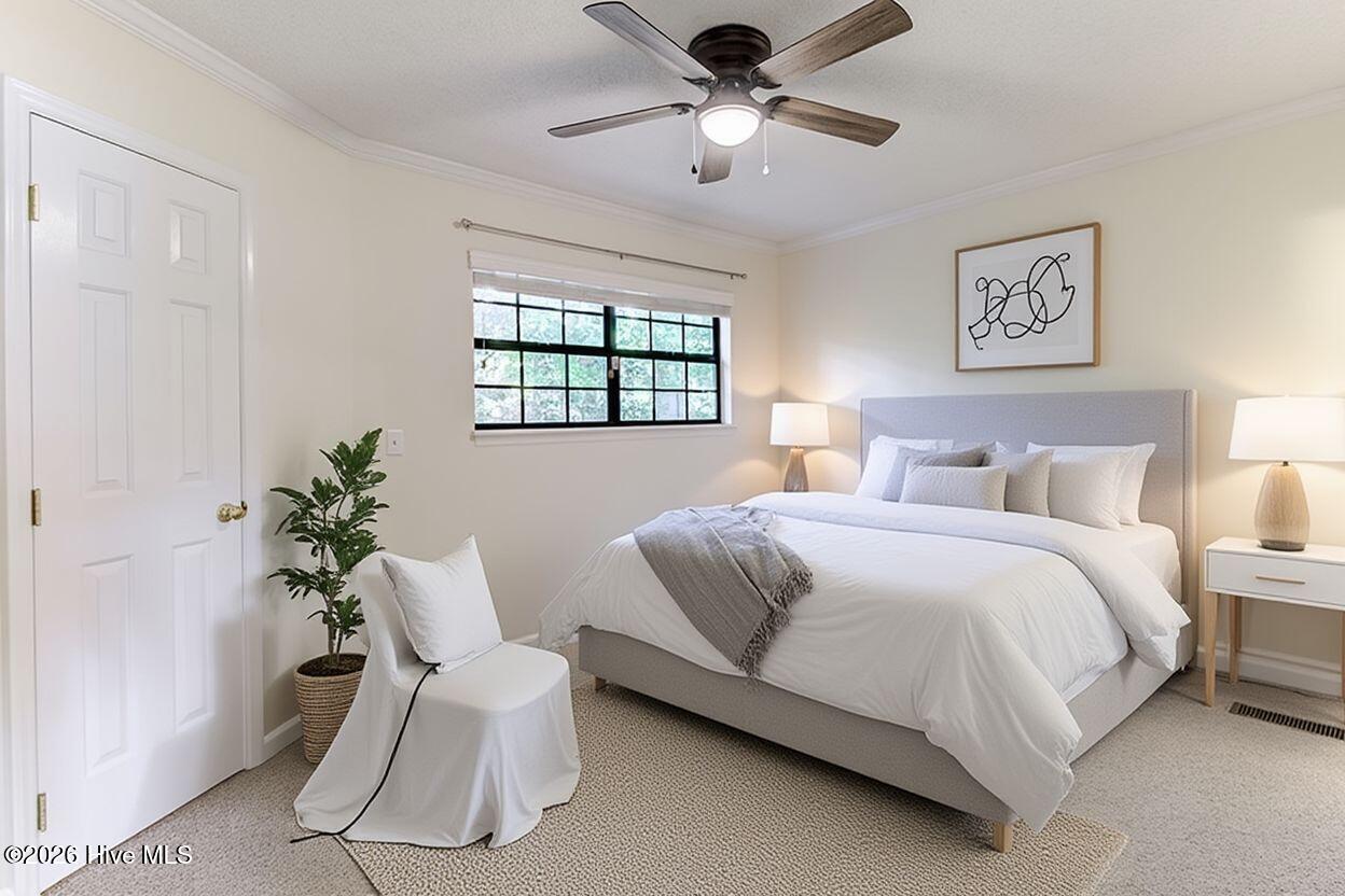 100565987 | Photo 26