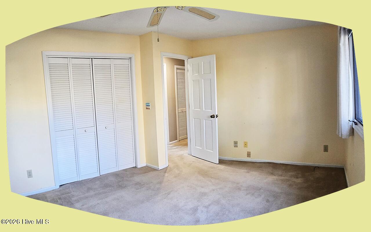 100551235 | Photo 19